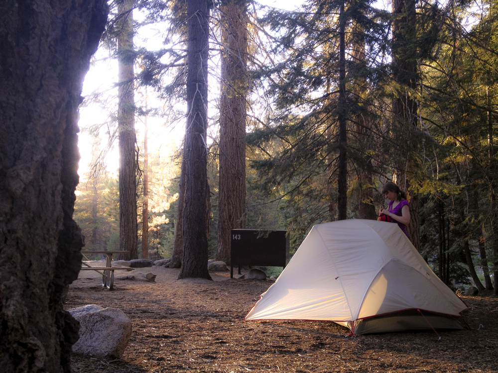 Sequoia National Forest