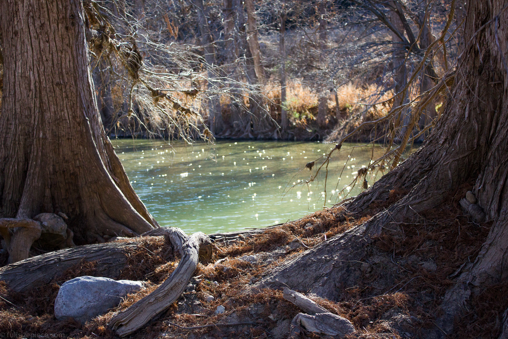 Pedernales River near our new home in Austin, TX.