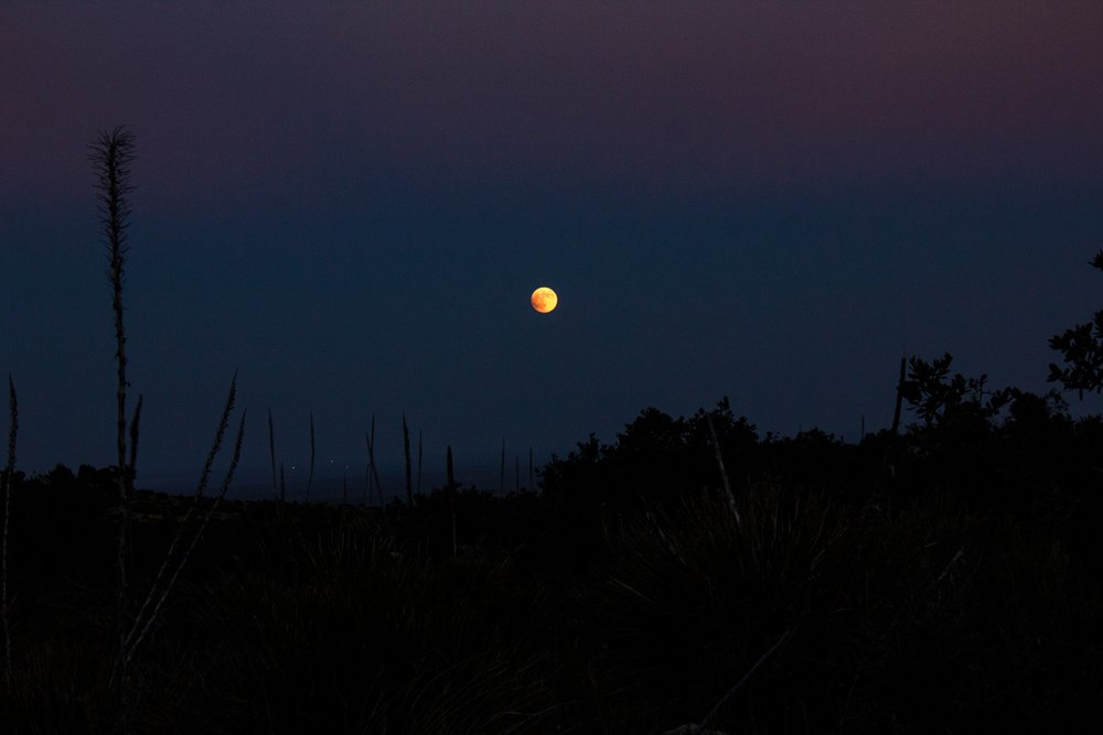 Blood Moon