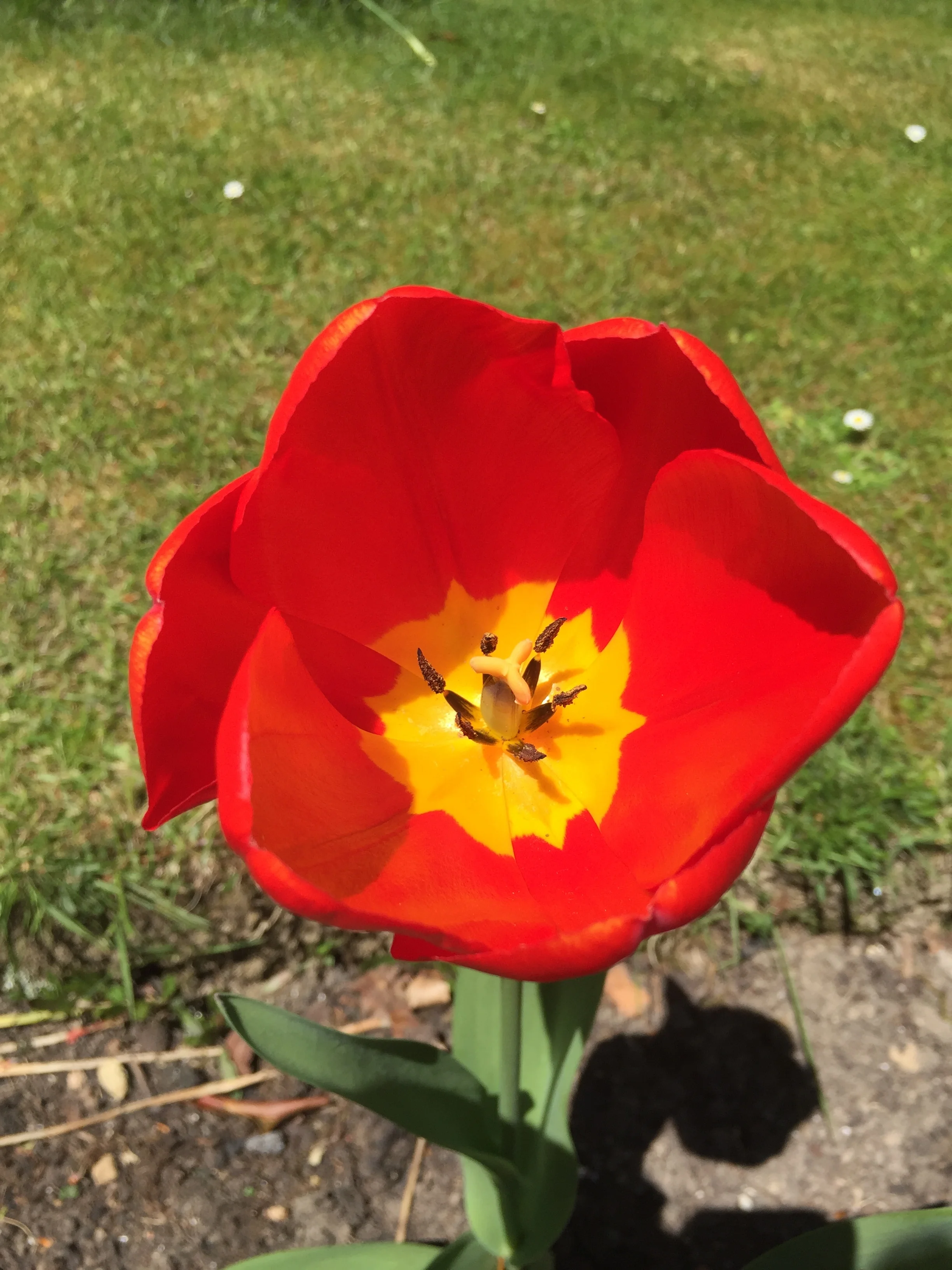 IMG_7926.JPG