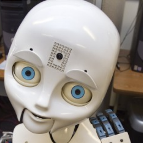 Robot Reveals Why Humans Trust, and Don't