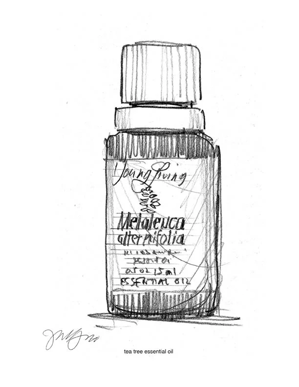 tea-tree-oil-drawing-by-jan-gero.jpg