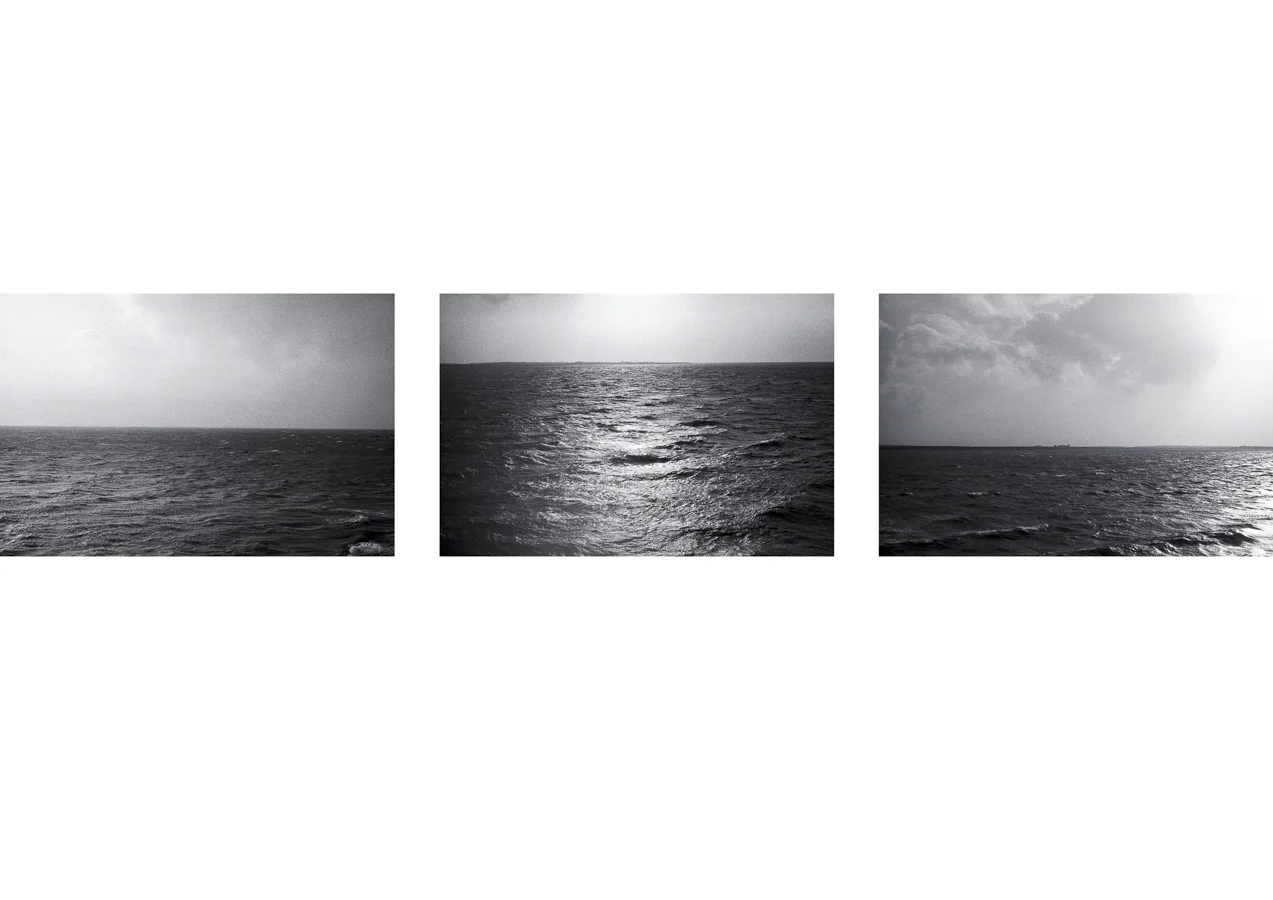 marino thorlacius collage 2-10.jpg