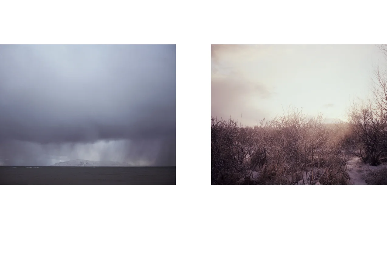 marino thorlacius collage 2-03.jpg