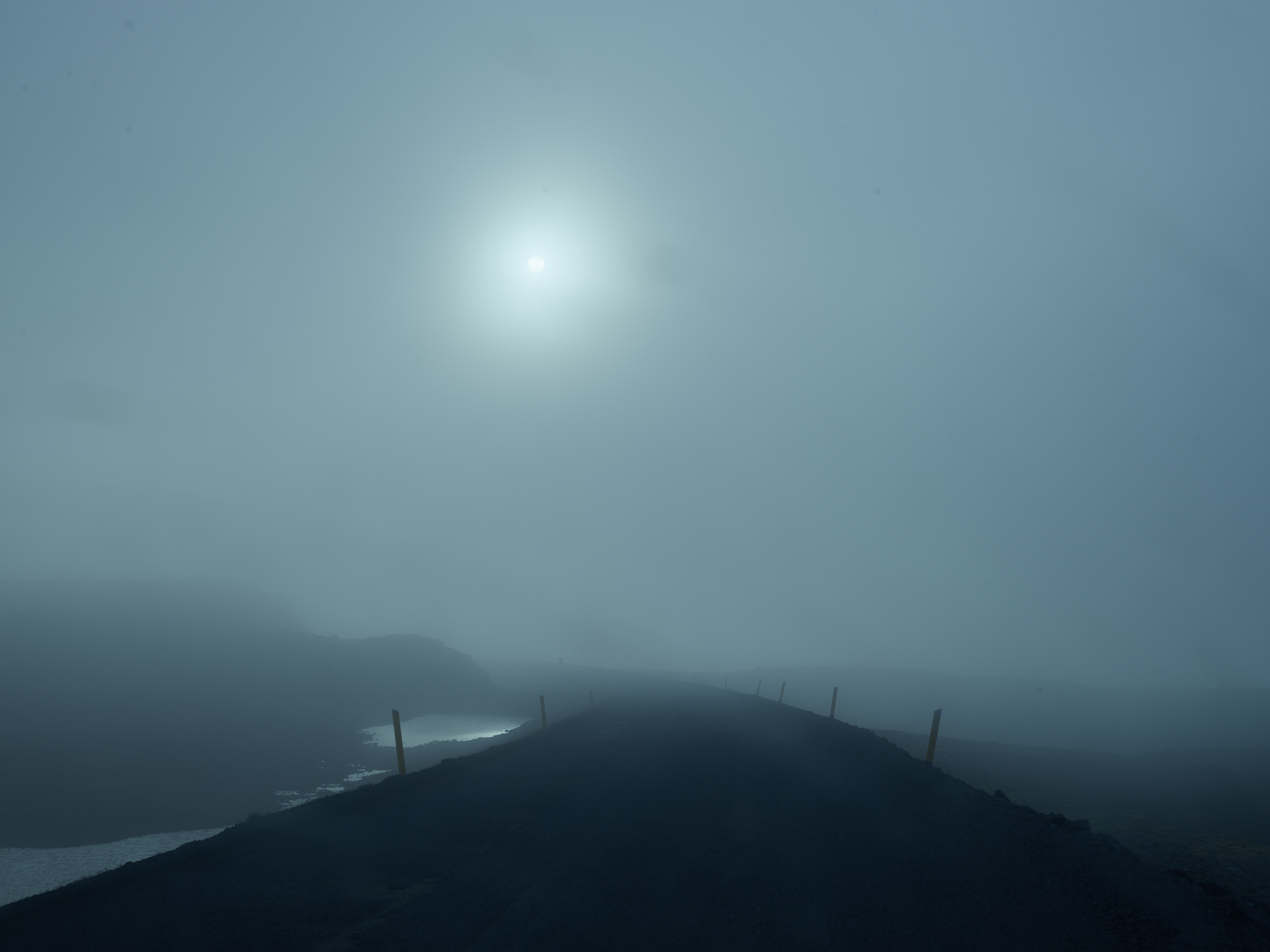 FOG2018.jpg