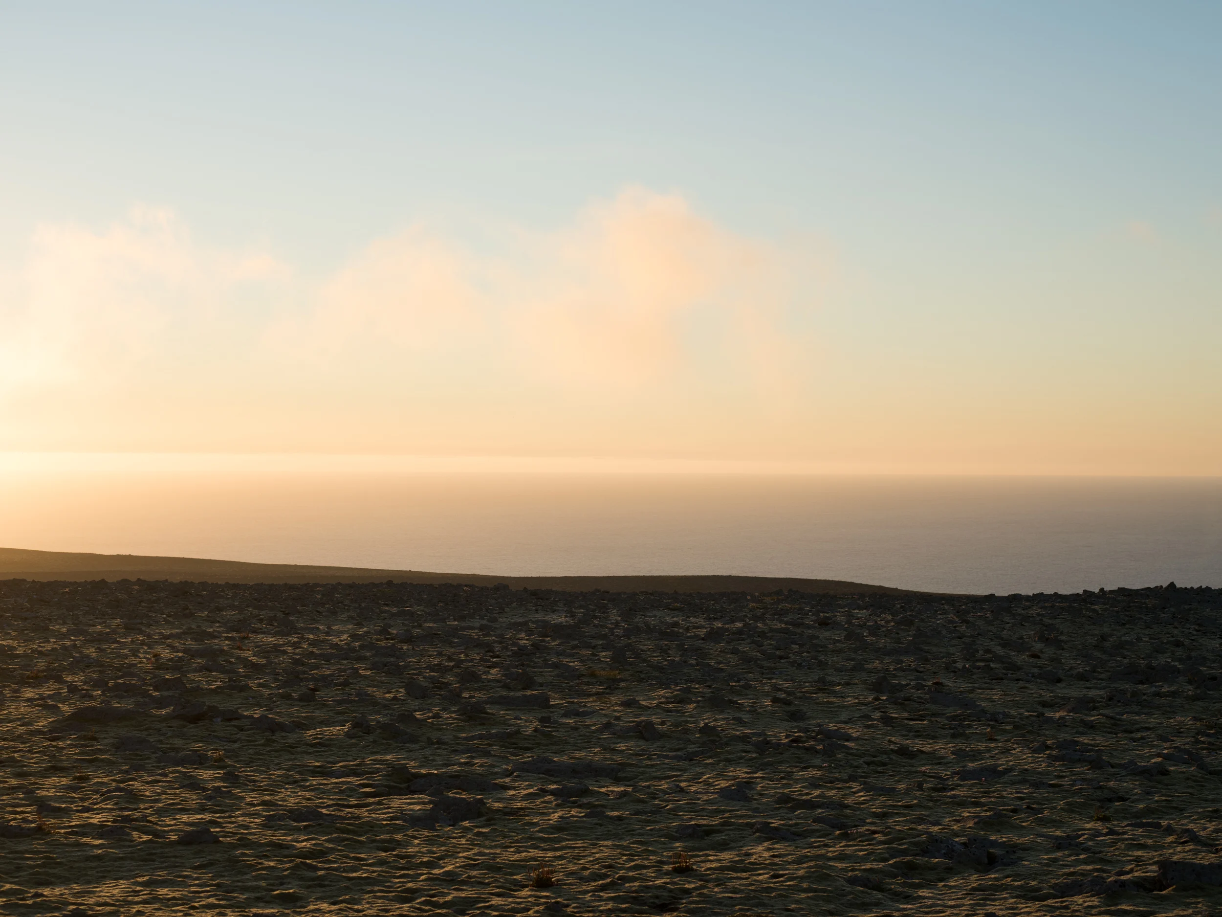 _IMG1151.jpg