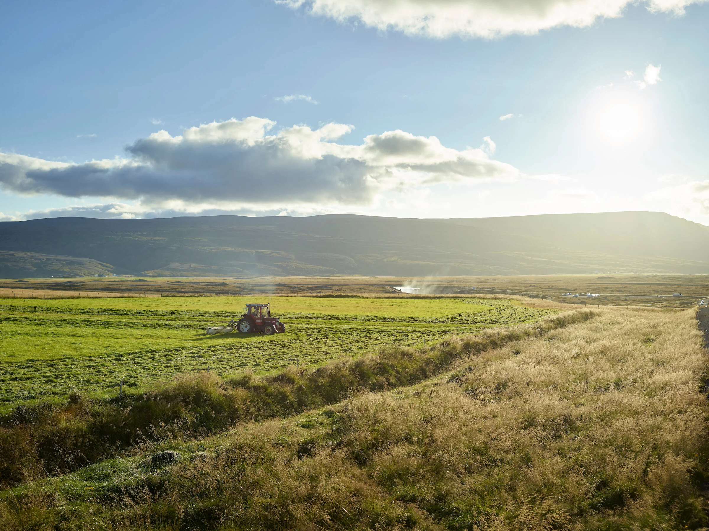 LI_2018_landscape 5.jpg