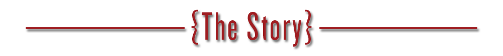 thestorybanner.png