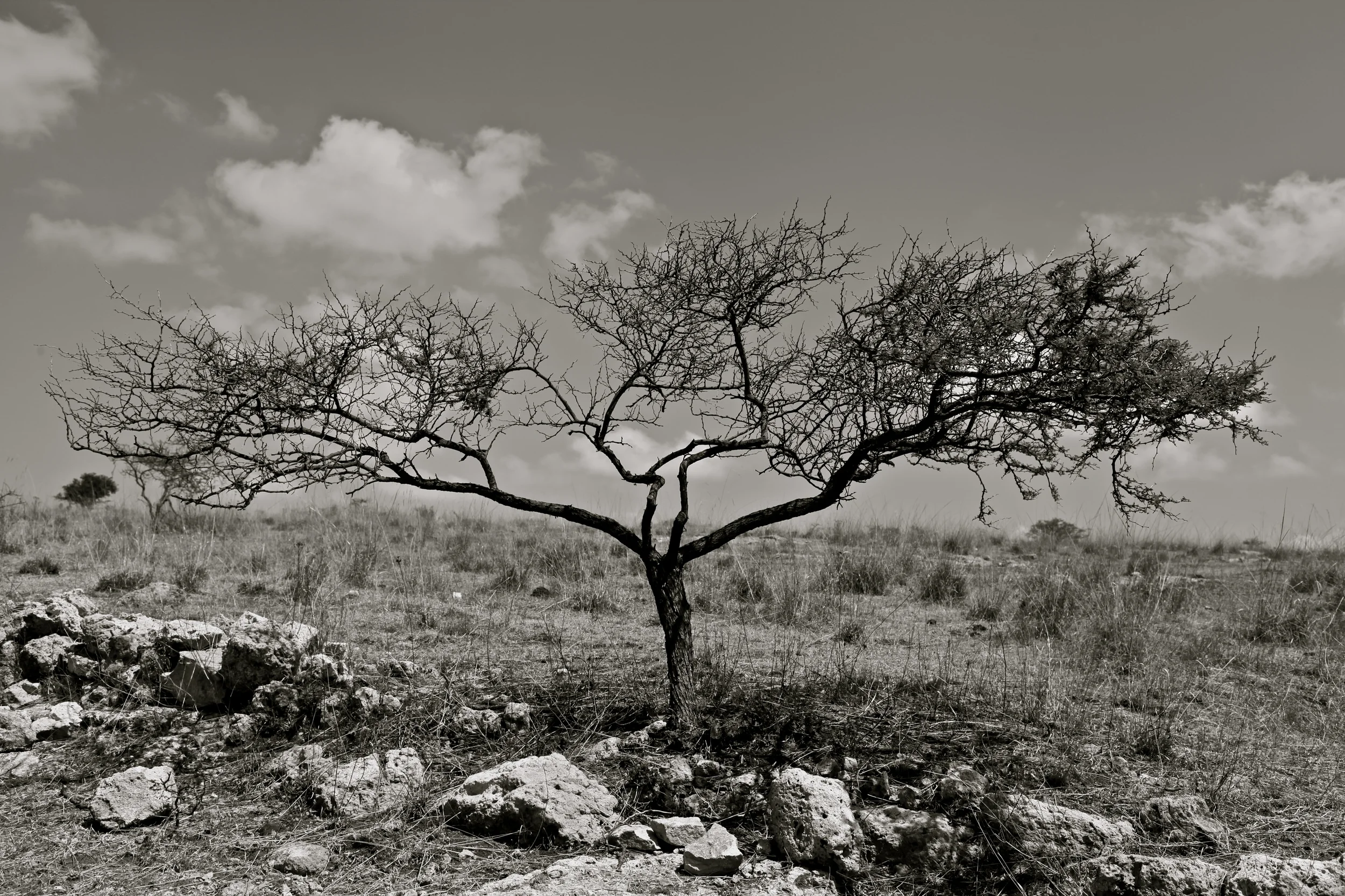 San Miguel de Allende, Mexico
