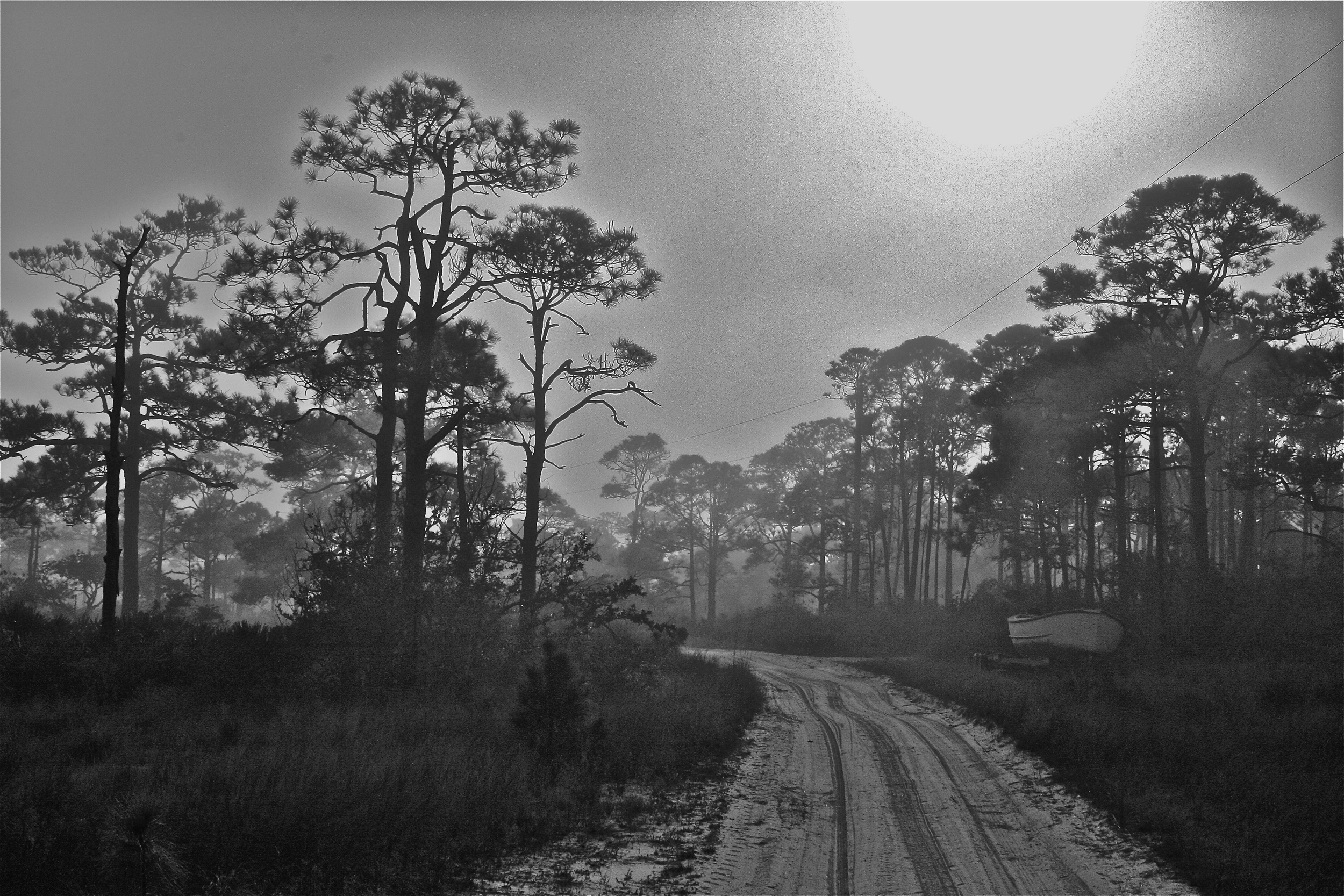 Private island, Gulf of Mexico, North Florida