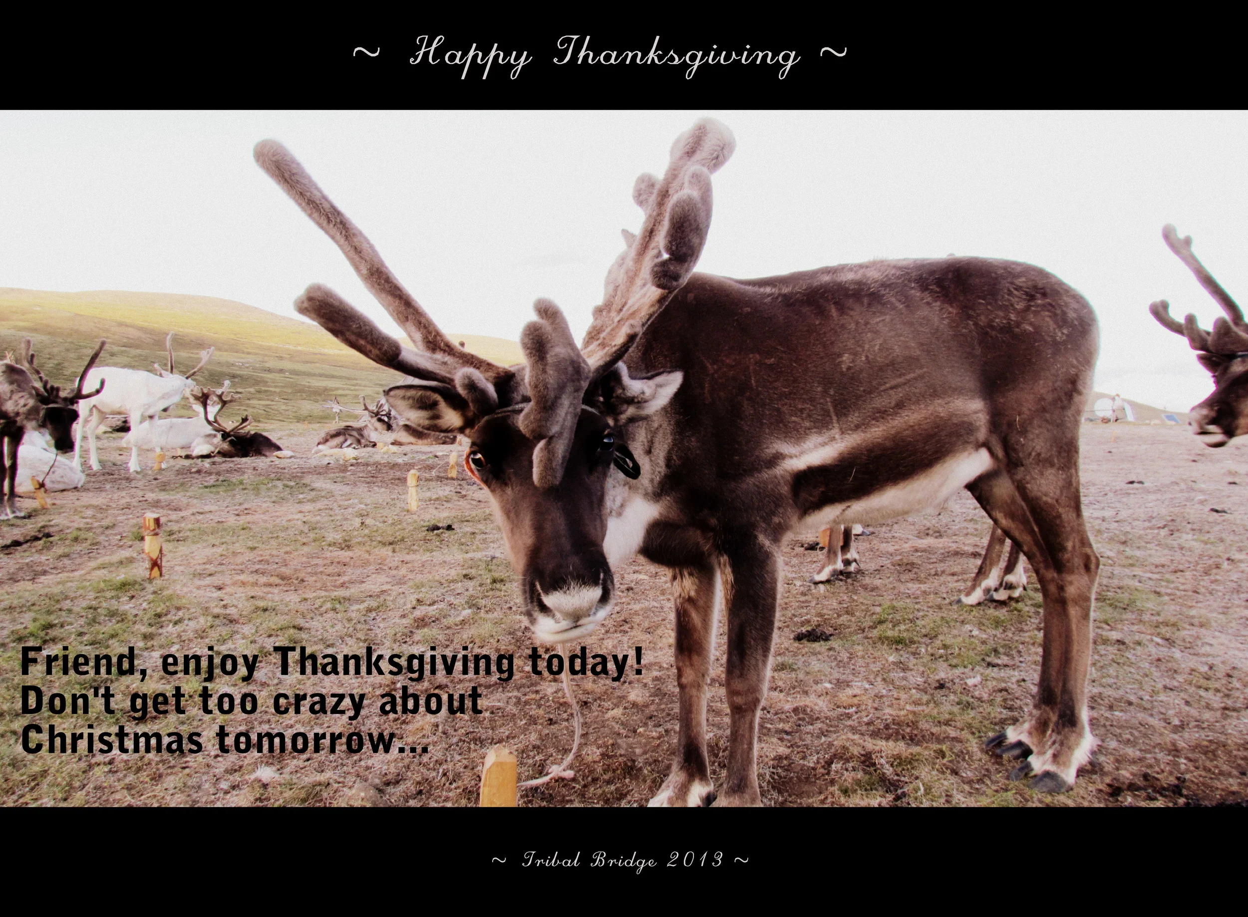 Happy Thanksgiving.JPG