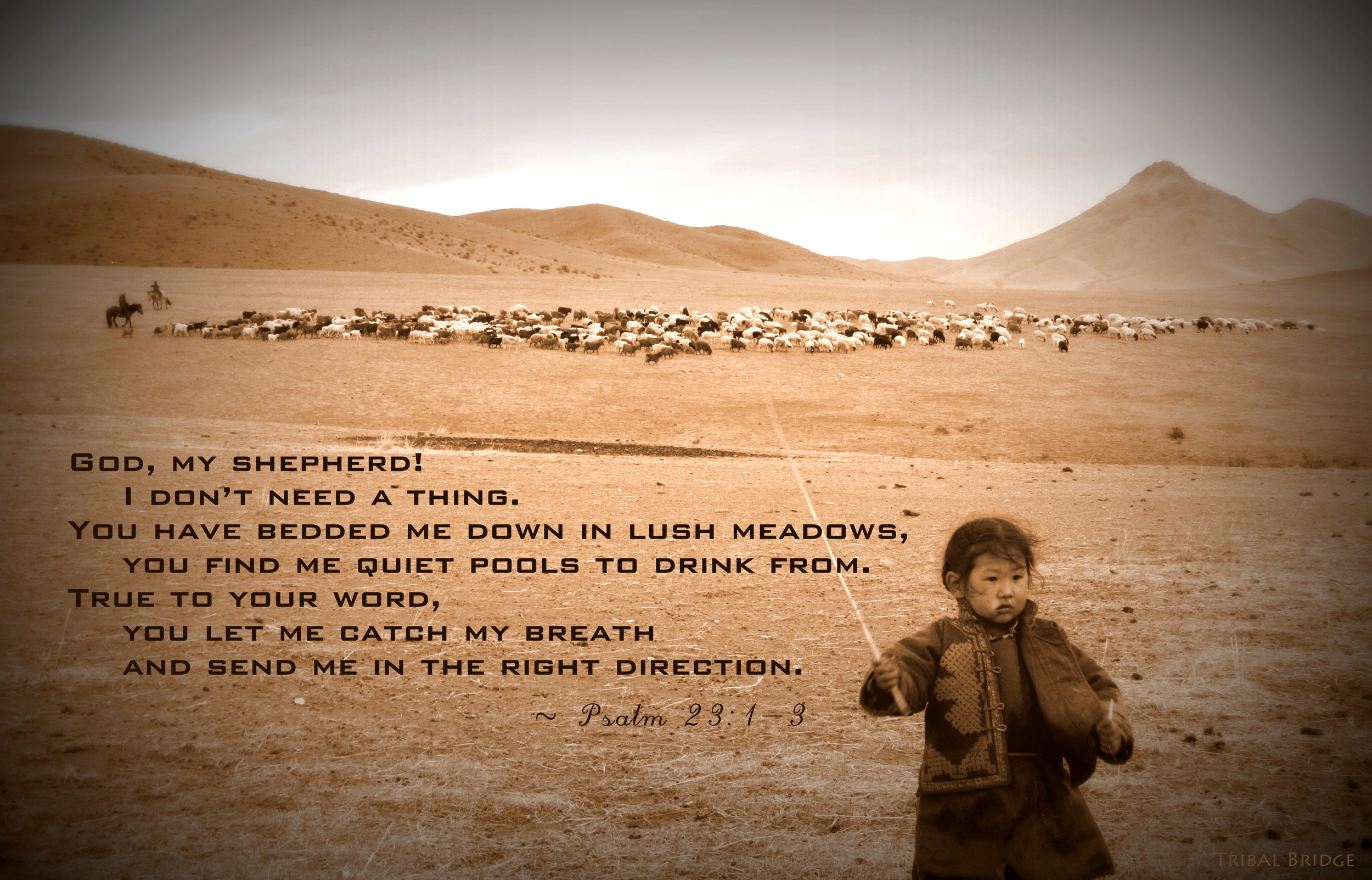 Psalm 23-1,3.JPG