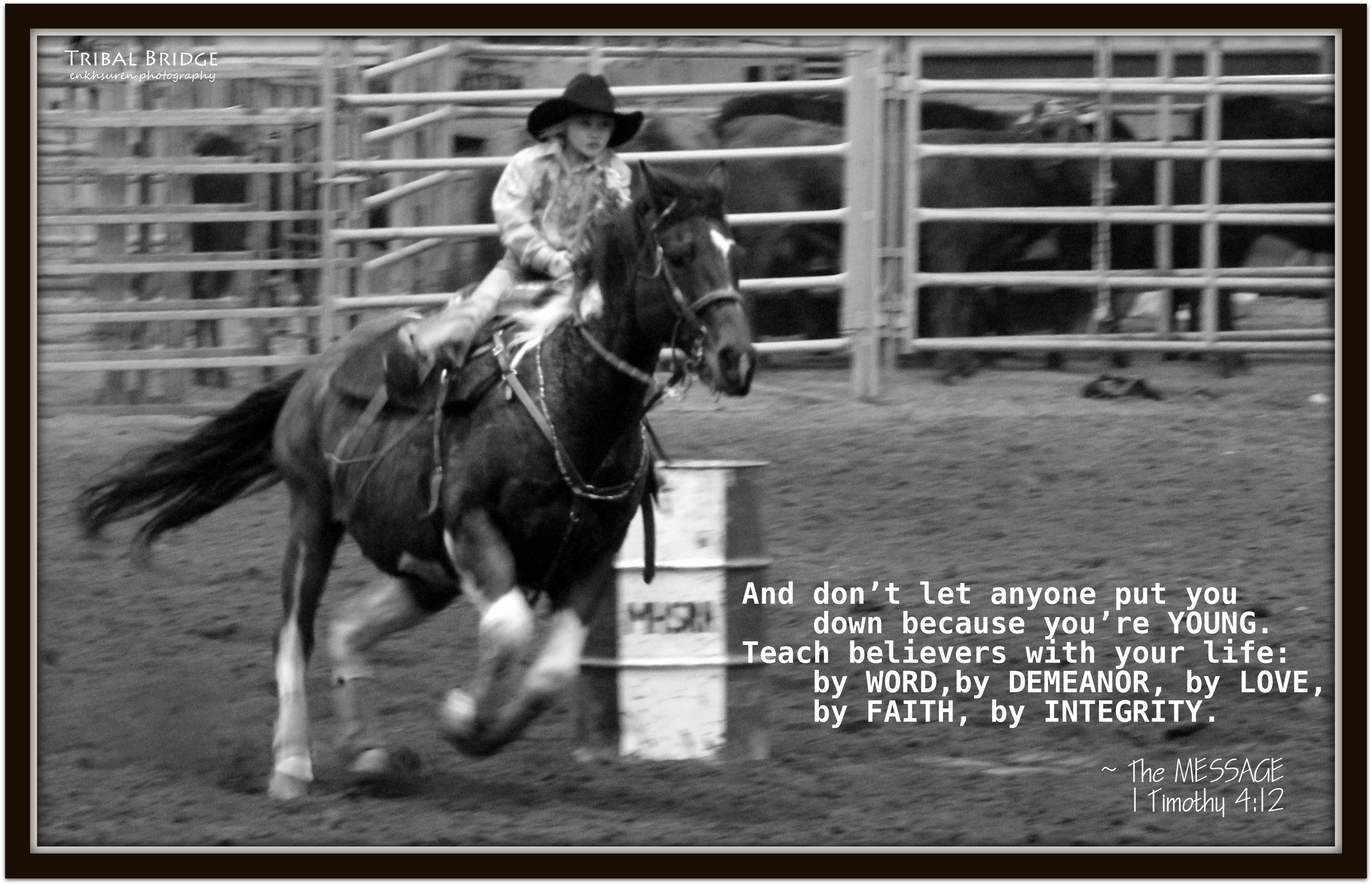 (12) Feb 12 2014.JPG