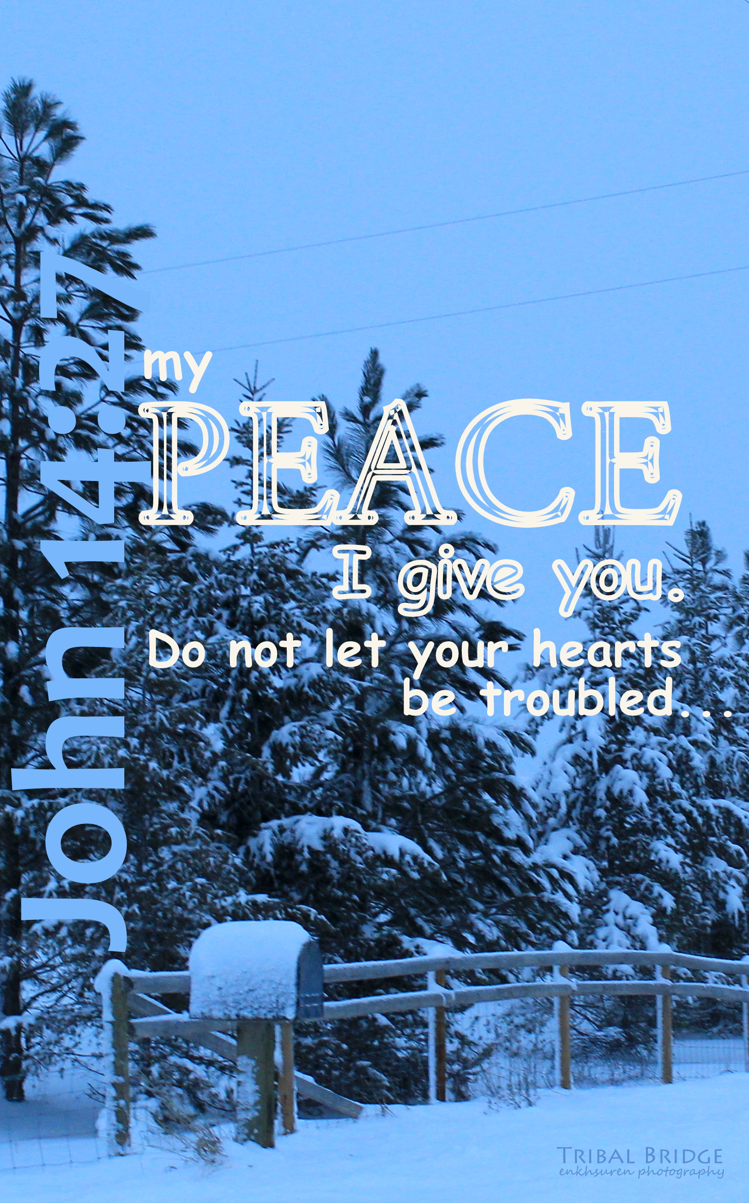 (18) Feb 18 2014.JPG