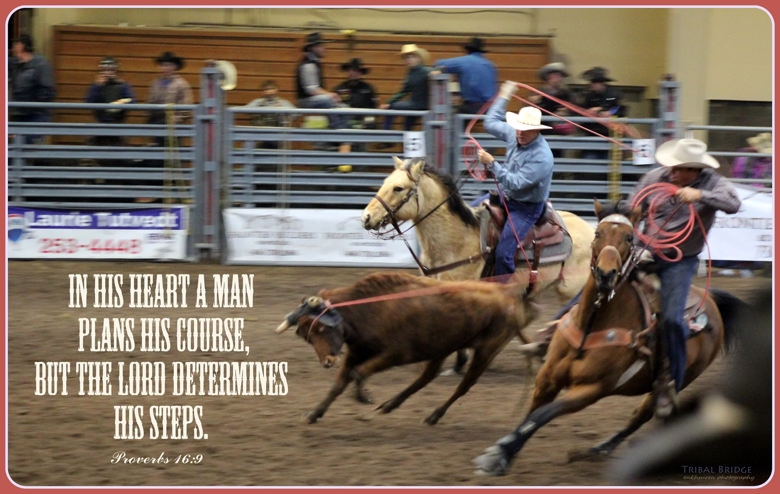 (17) Feb 17 2014.JPG