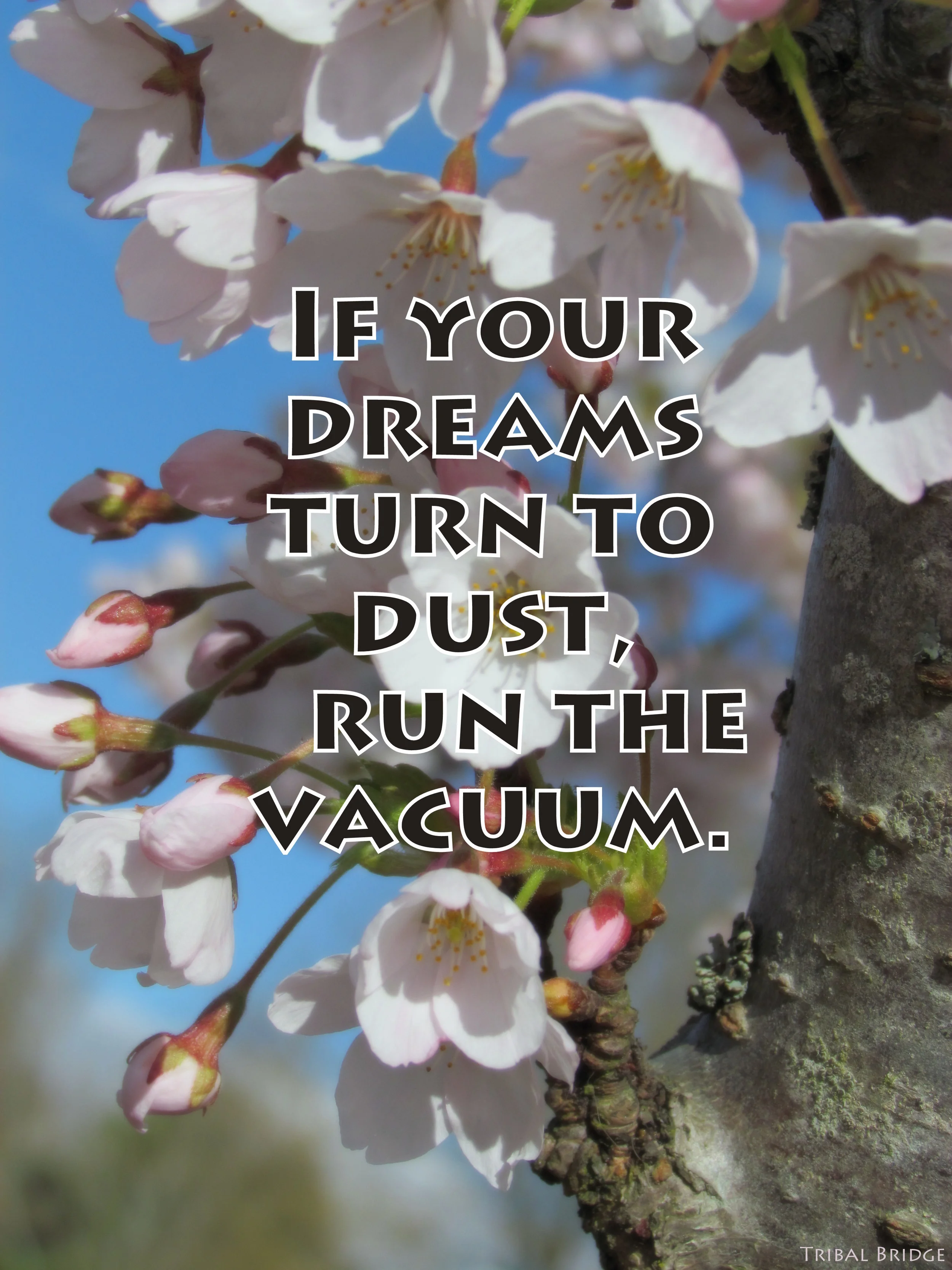 (30) Jan 30 2014.JPG