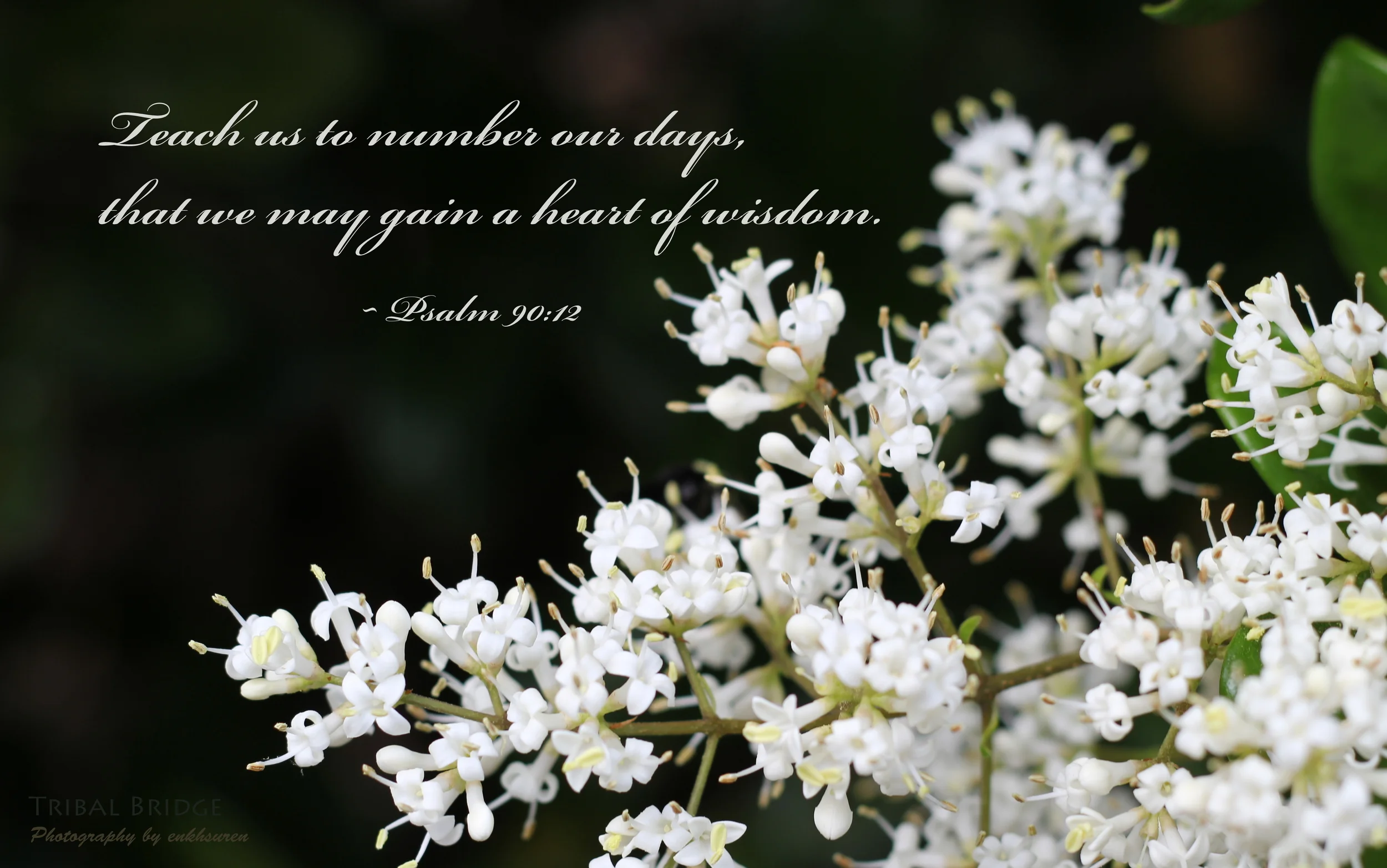 Jan 01 2014 Ps 90-12.JPG