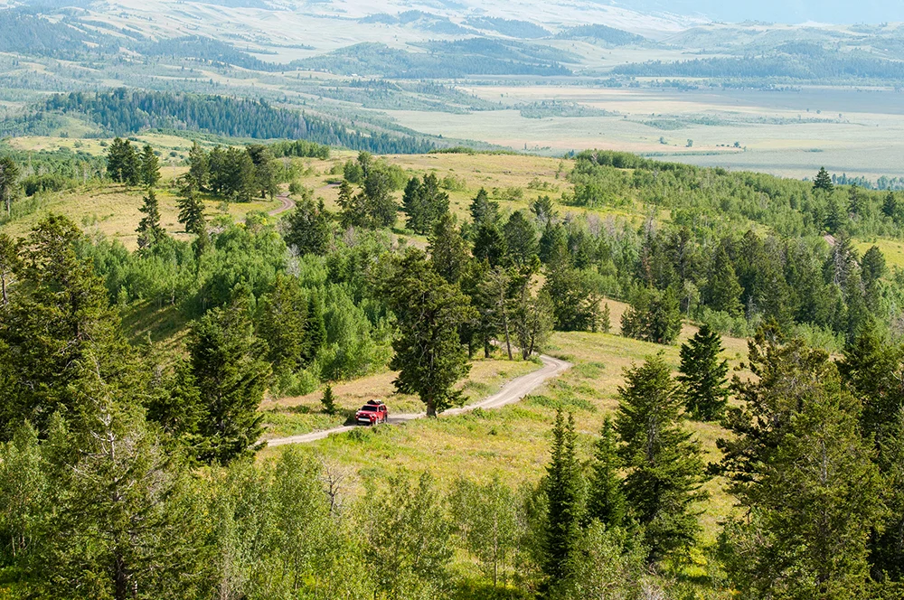130729_BURKARD__32792.jpg