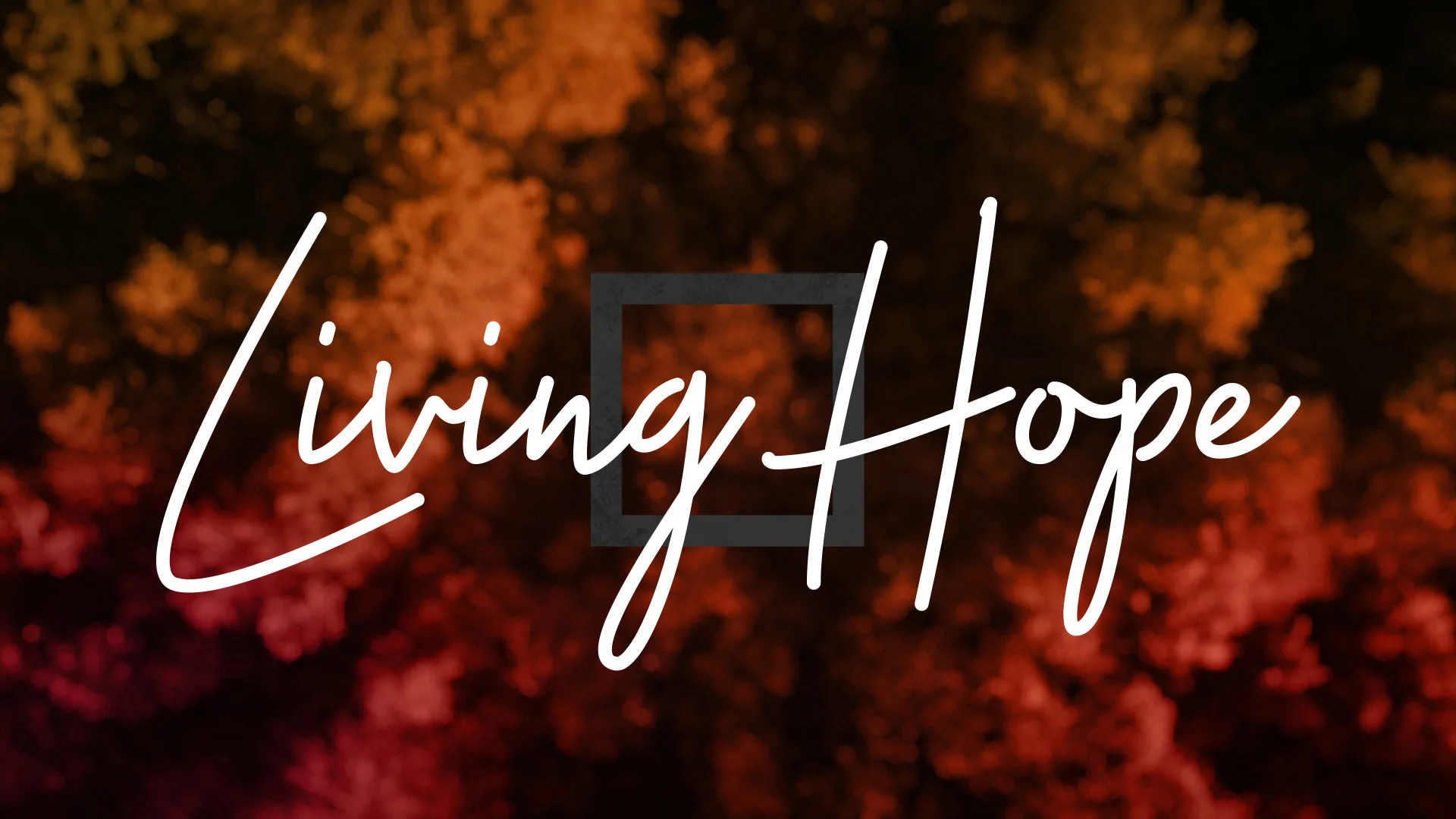 Living Hope Wk 4 Everyone with a Ministry — GCC