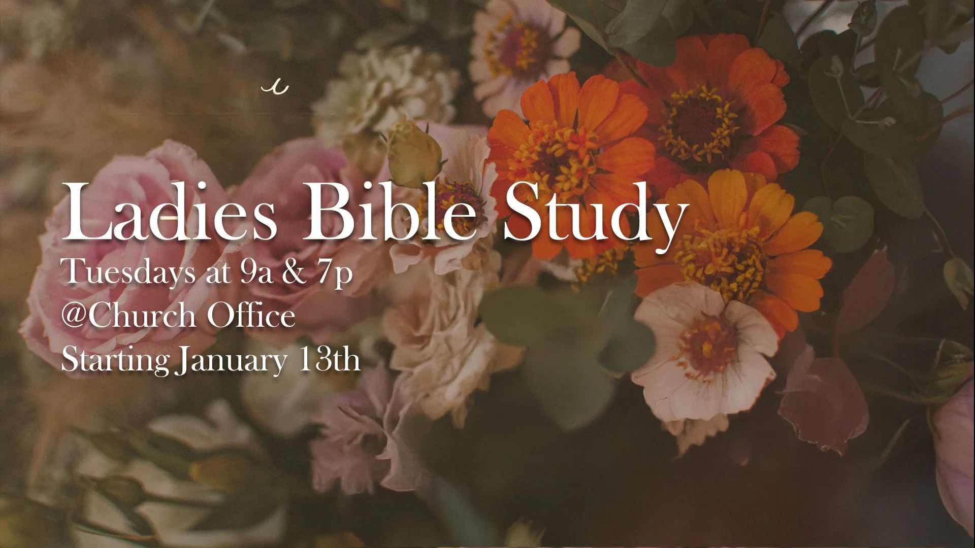 Womens Bible Study Spring 26.jpg