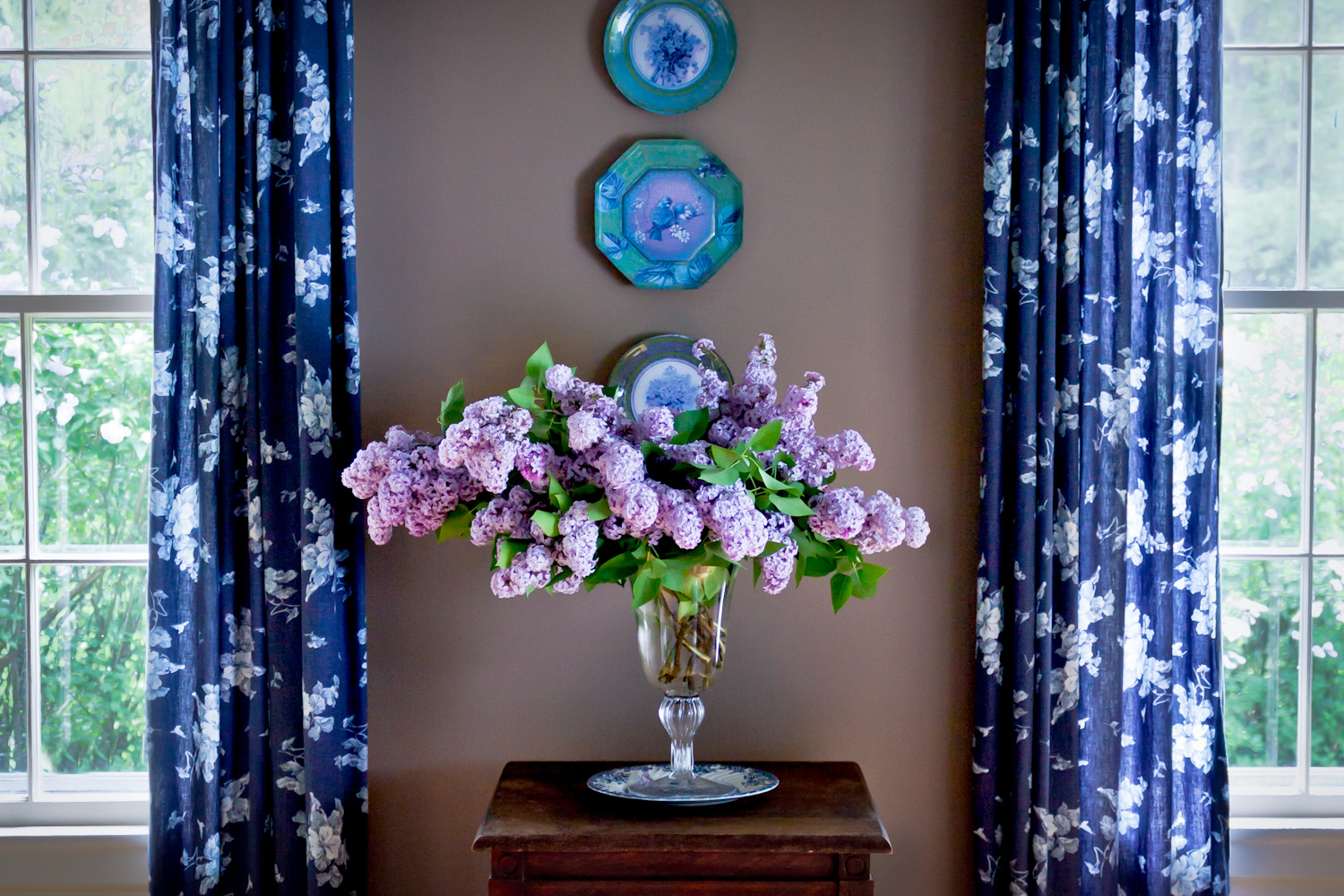 lilacs85q.jpg