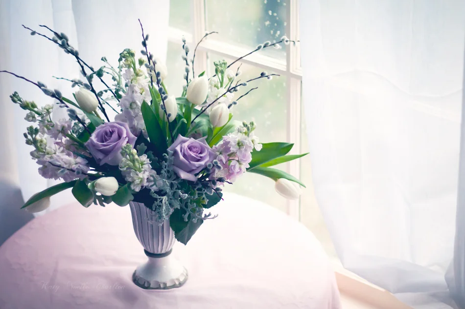 KatyNoellePhotography-69.jpg