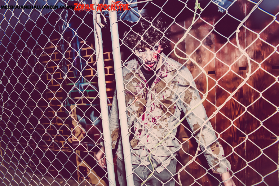 untitled-349(watermarked)(watermarked).jpg