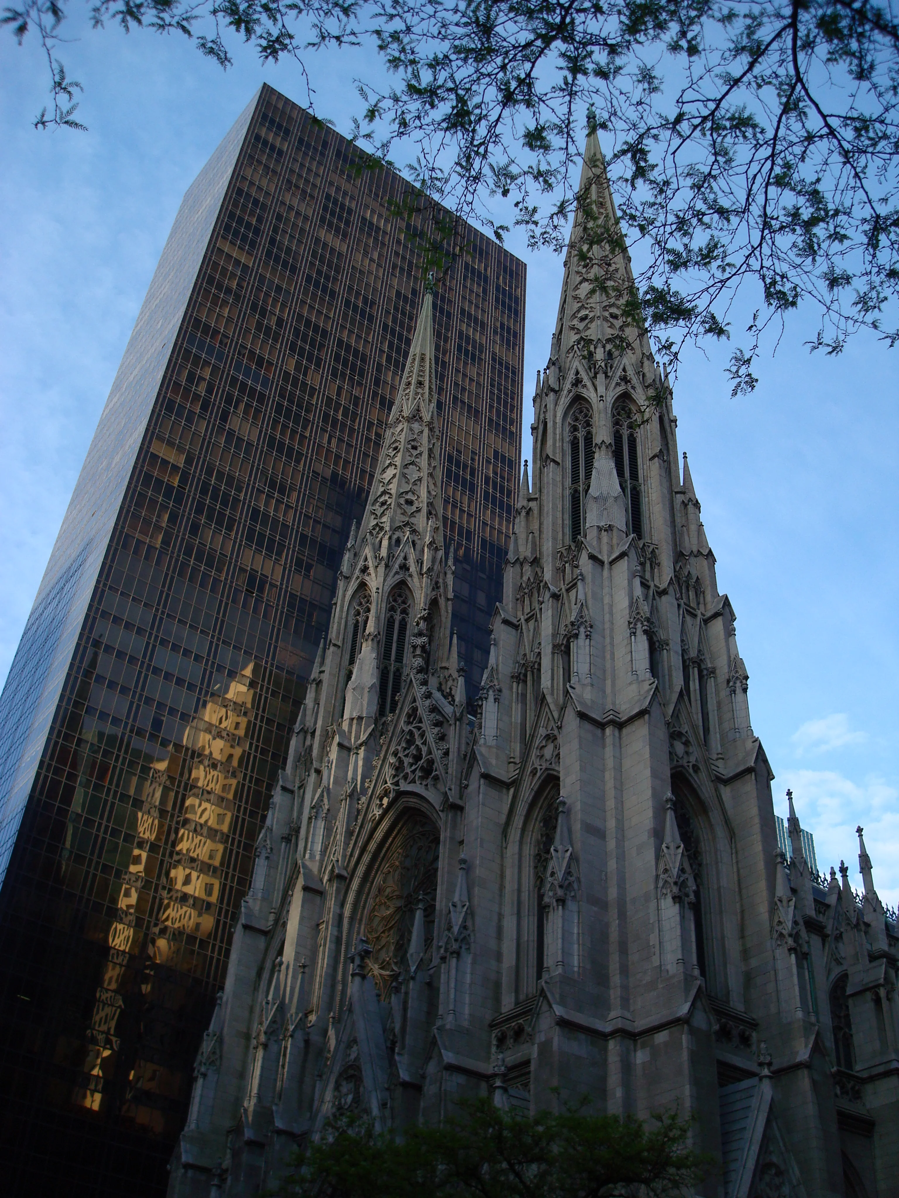 DSC07291.JPG