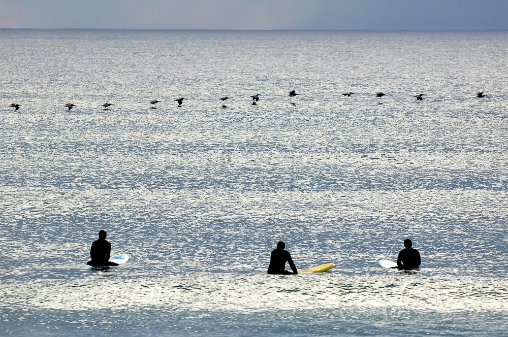  Surfers watch pelicans fly by while waiting for a set of waves, in Lake Worth, FL, on Monday, December 14th, 2009. 