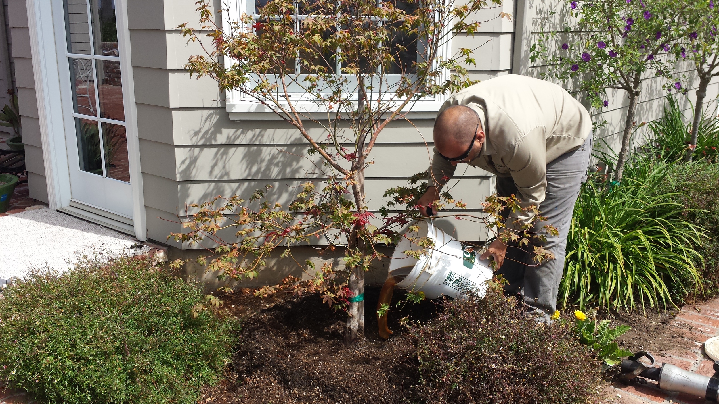 organic liquid soil amendment