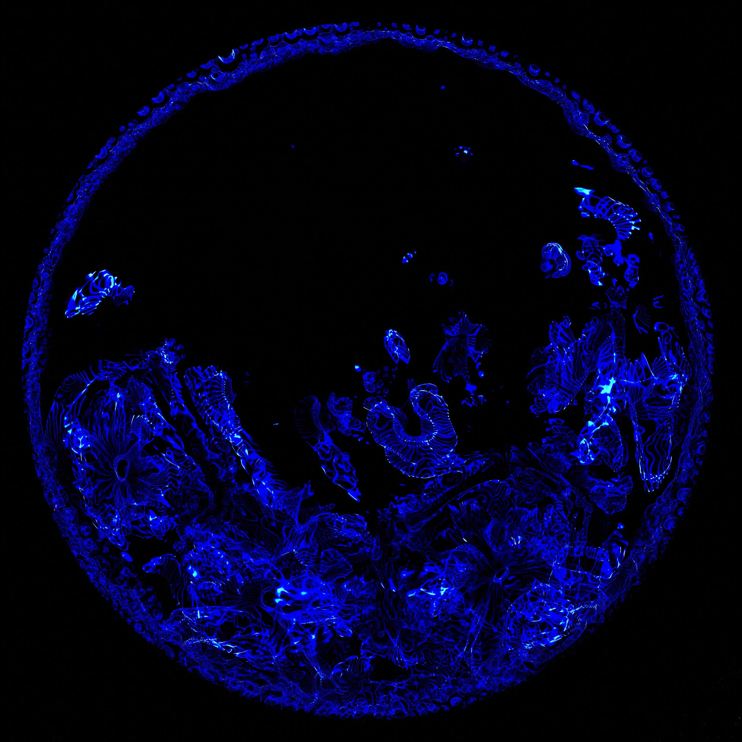 Cymatics0359.jpg