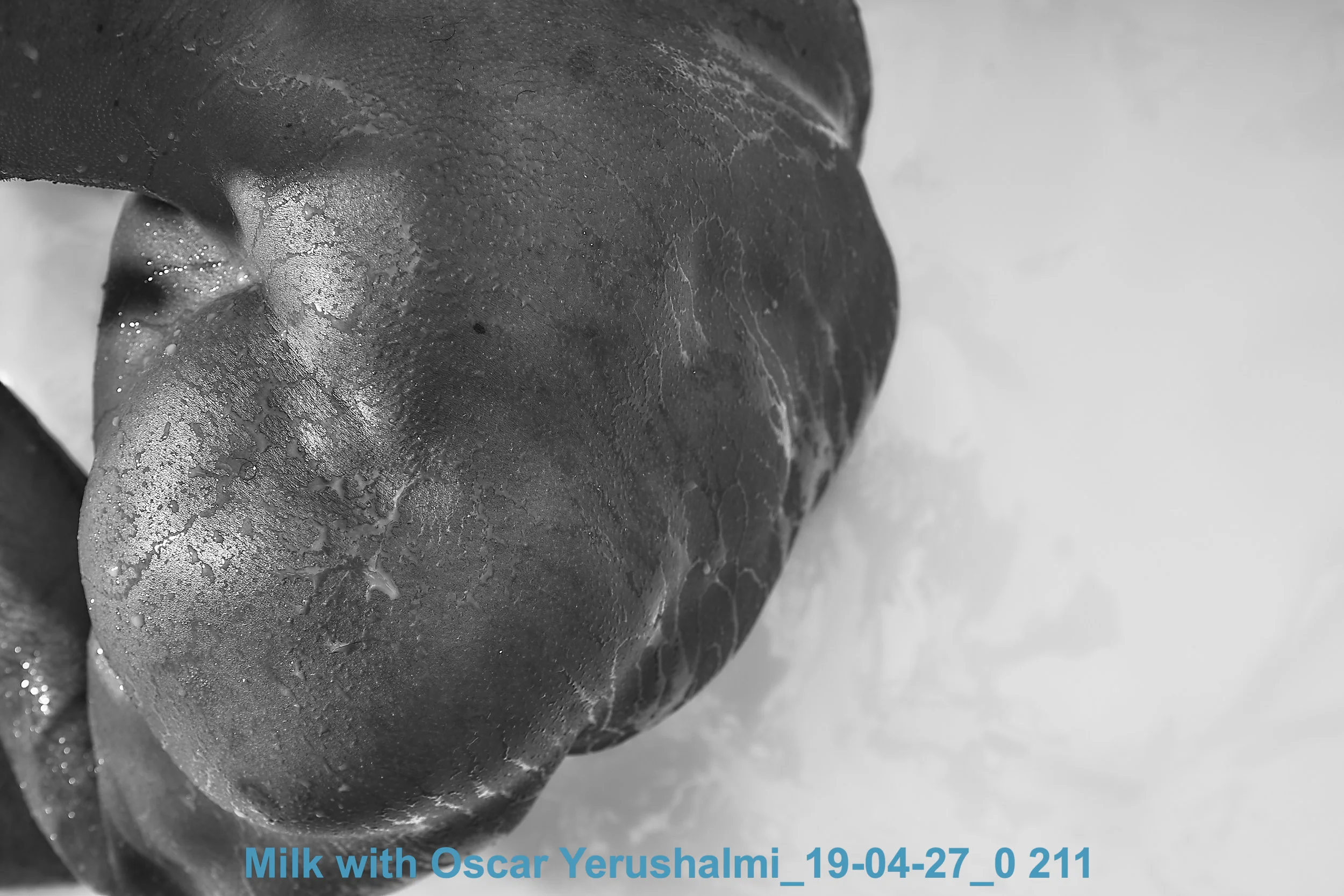 Milk with Oscar Yerushalmi_19-04-27_0 211.jpg