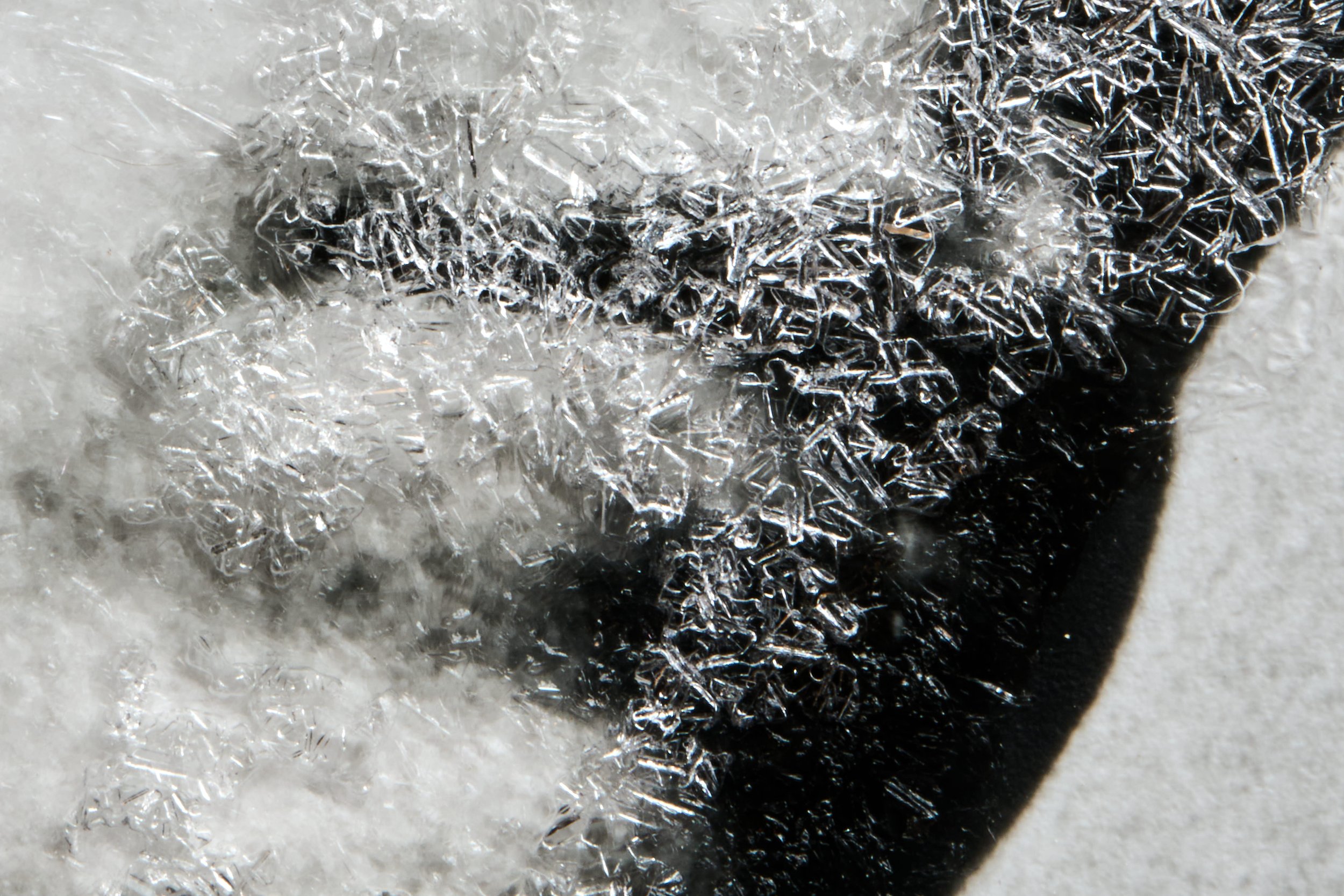 Crystalotypes Wk3_25-02-04_0273 1.jpg