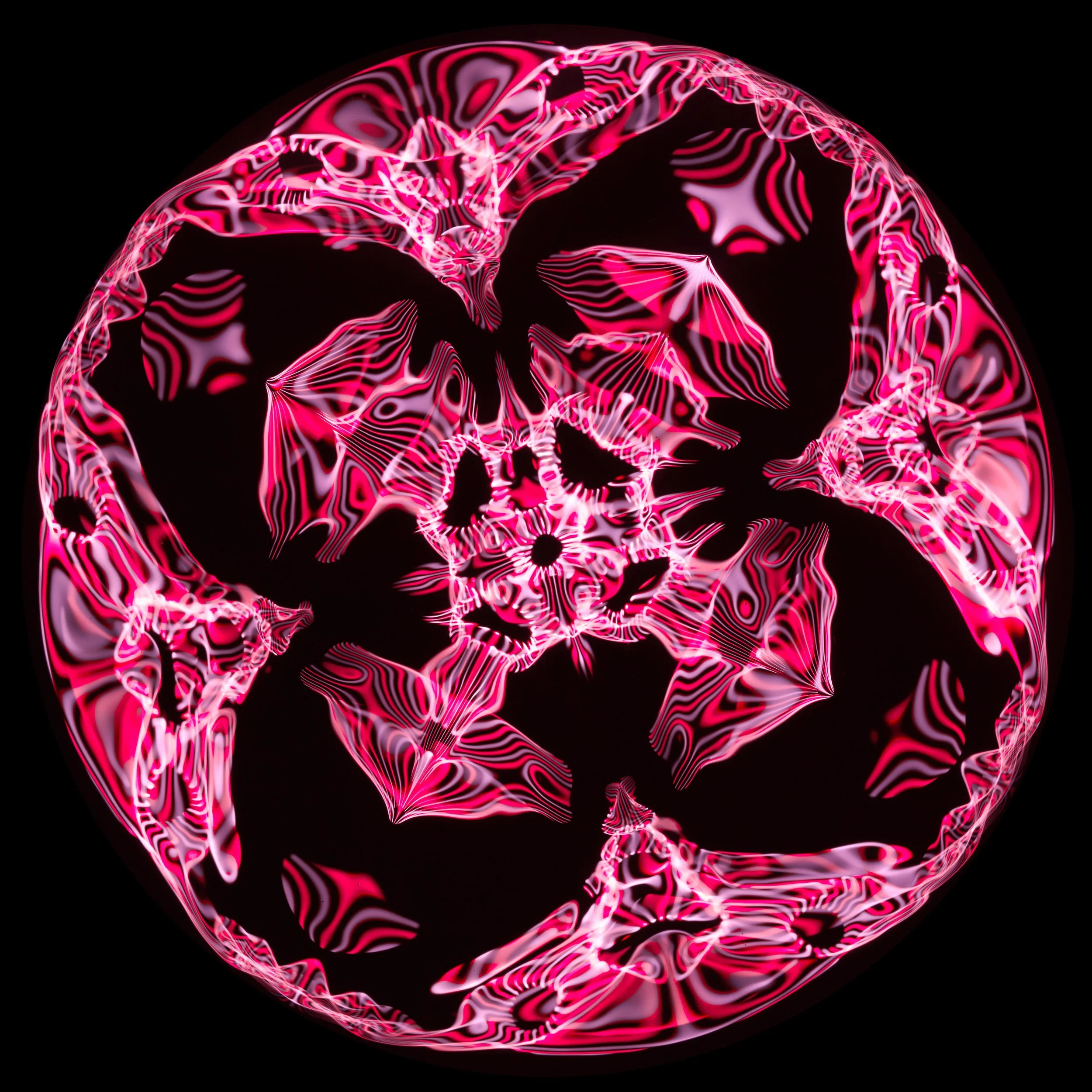Cymatics0322 1.jpg