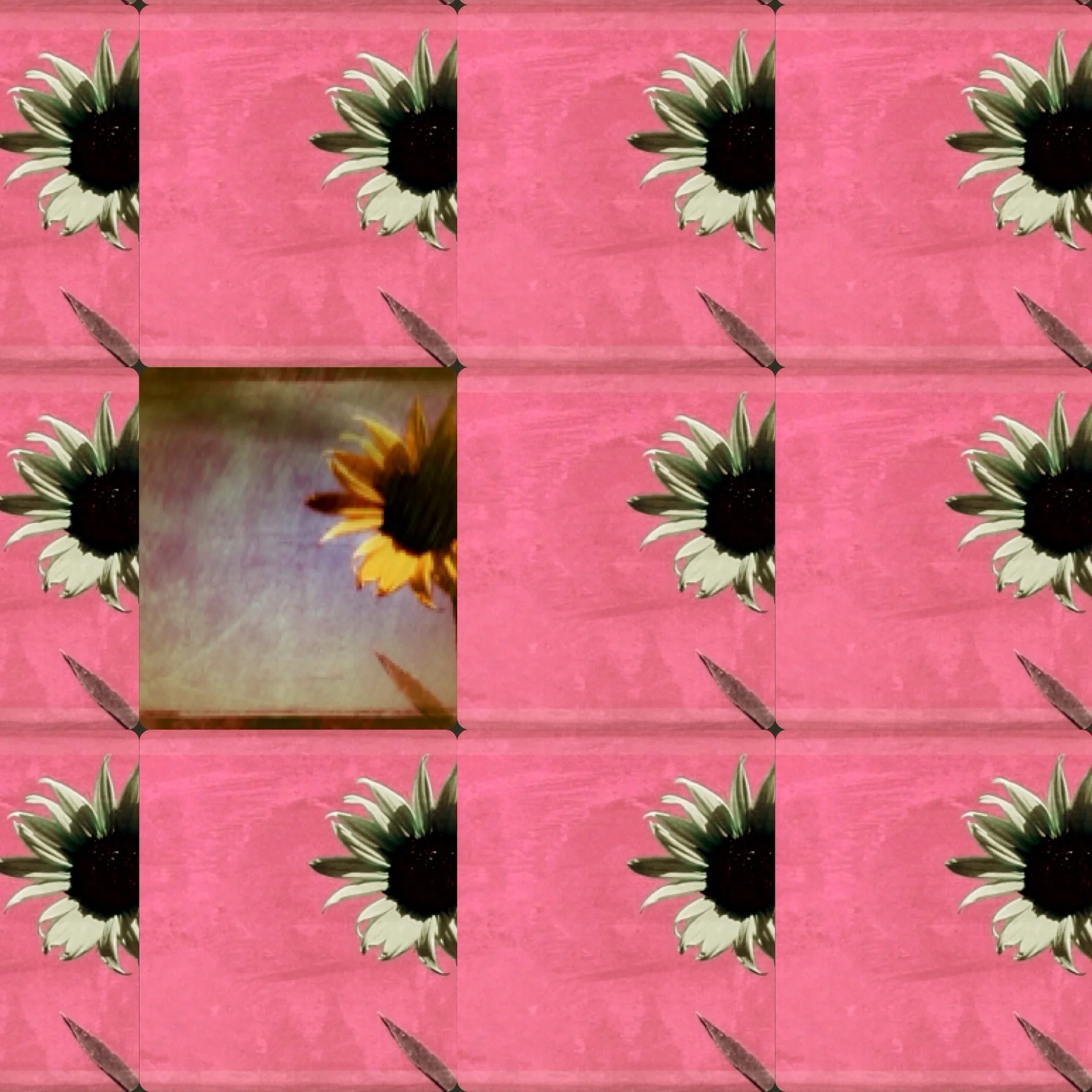 Alone Amidst the Pink (2011). Photography by Dionne Hartnett .