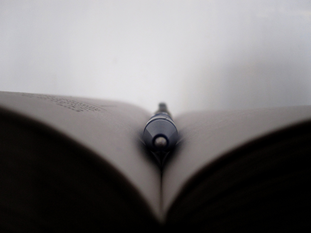 Pen and Book by Jain Basil Aliyas (2010)