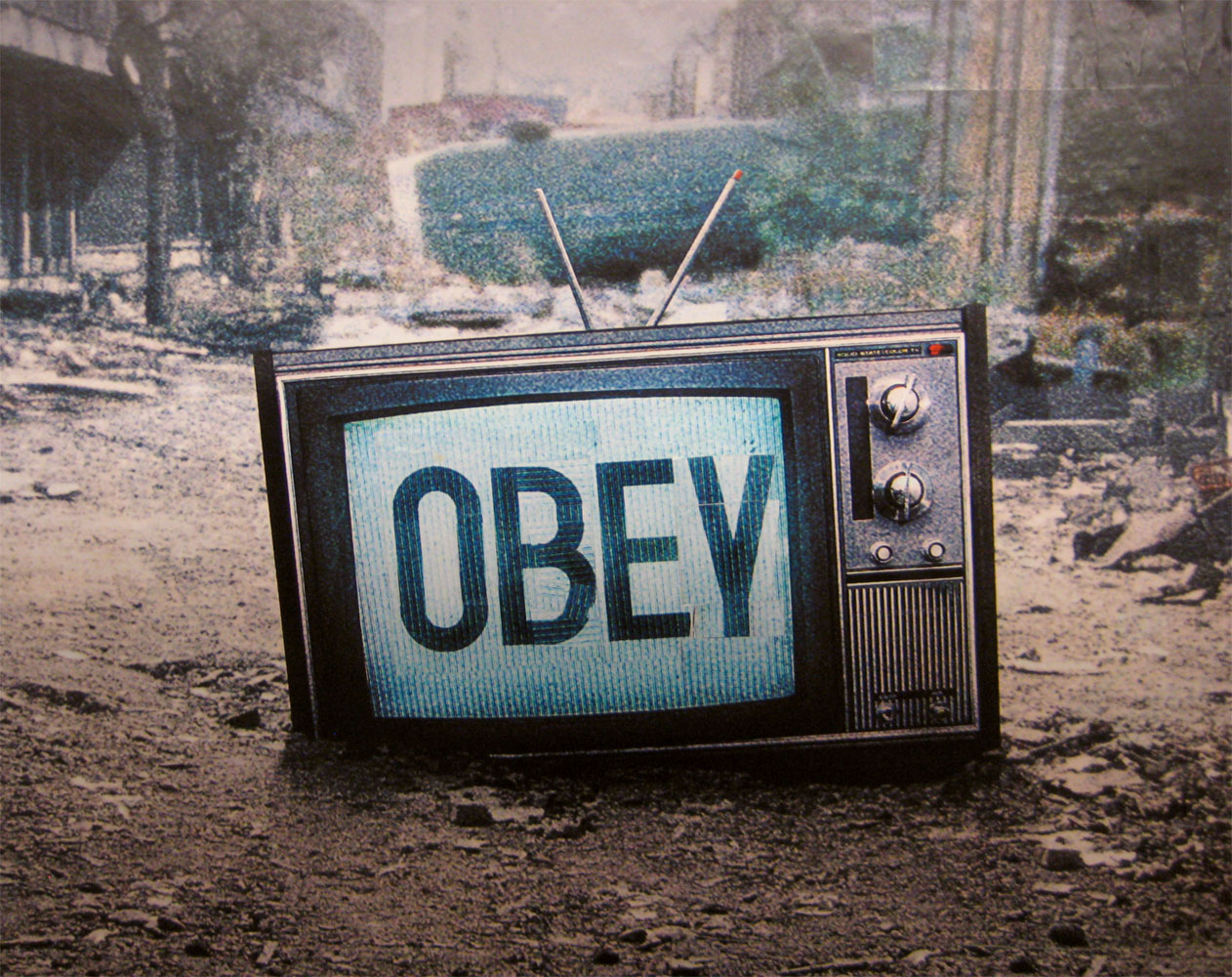 “Obey” (2013), an homage to the 1988 cult film They Live courtesy of Flickr user Poster Boy .