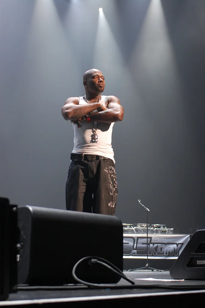 Image credit: Naughty By Nature: Treach (2009) by Brett Hammond .