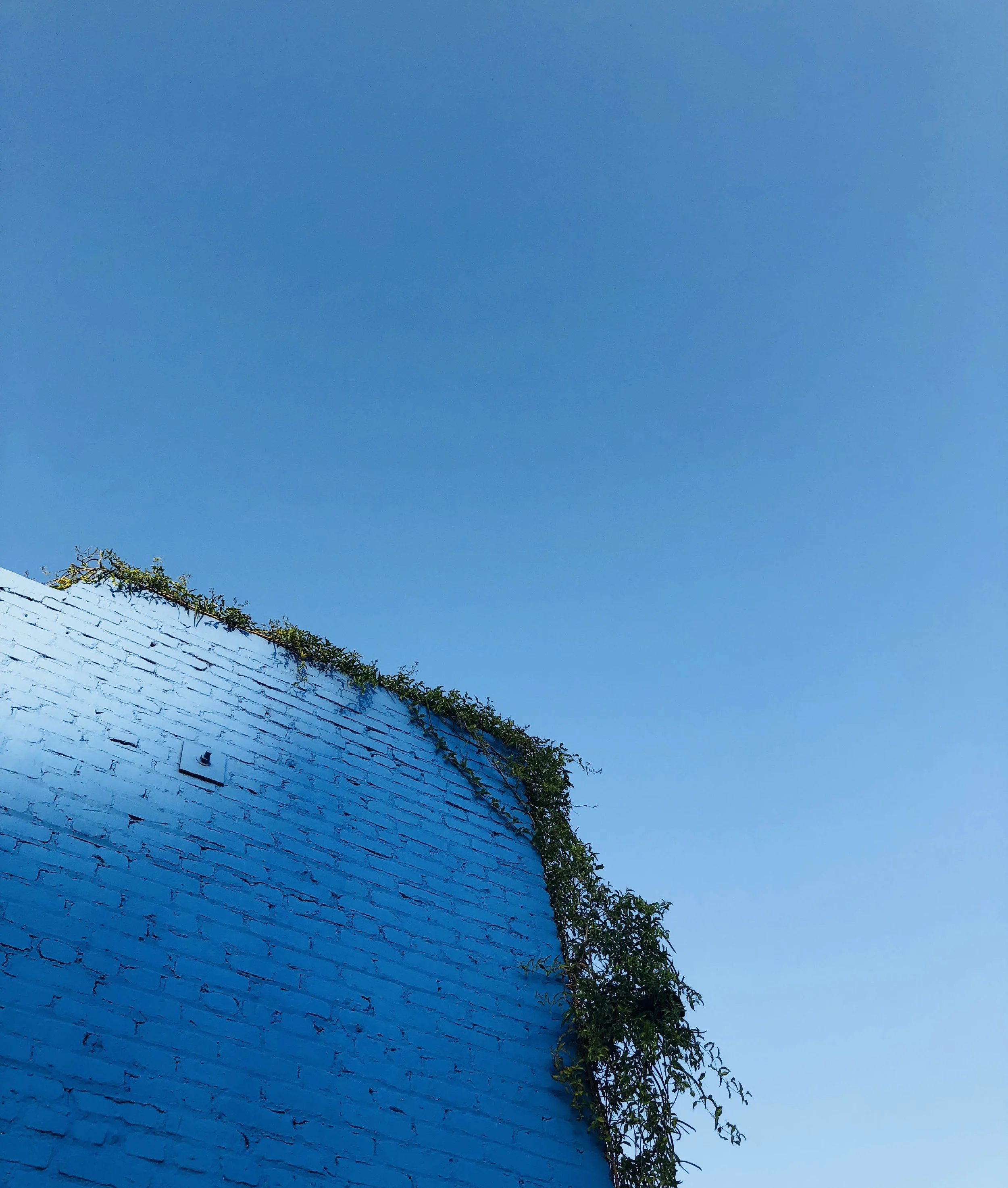 Tangled up in blue, DTLA style.