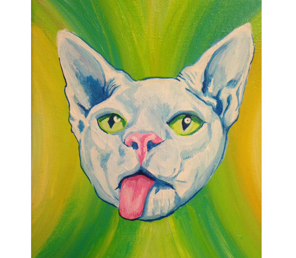 Trippy the hairless cat