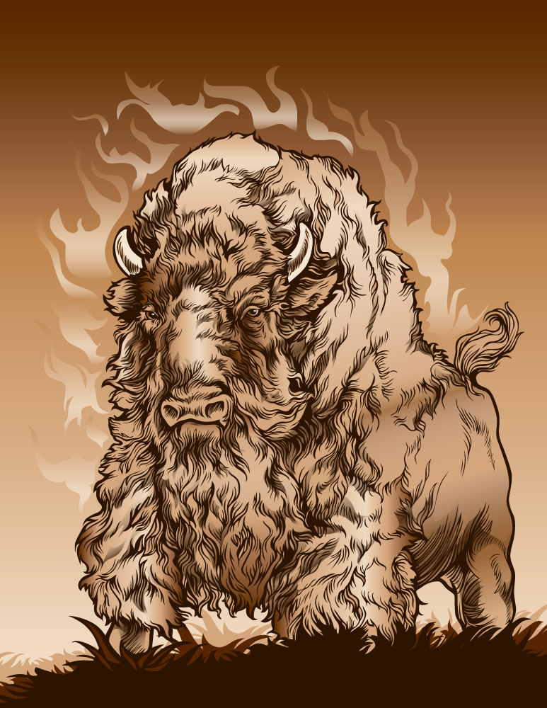 burly-bison_web.jpg