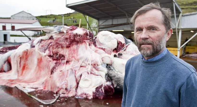 Photo: Kristján Loftsson, Iceland's most notorious Cetacean serial killer.