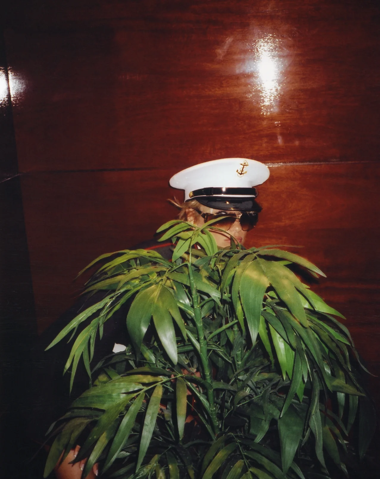 photo by Luca Pizzaroni