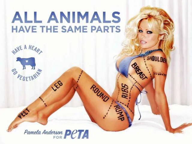 ts_ts_peta000.jpg