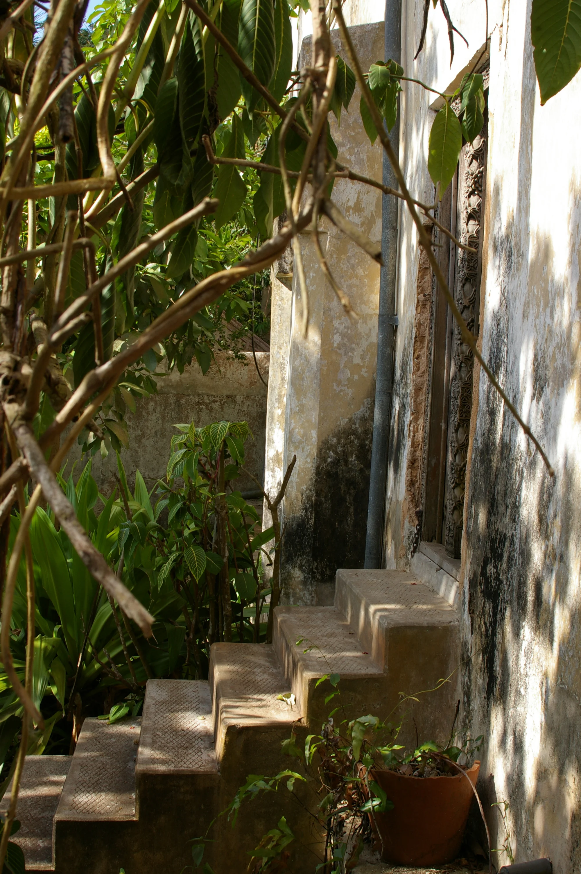 Salome's Garden Door.jpg