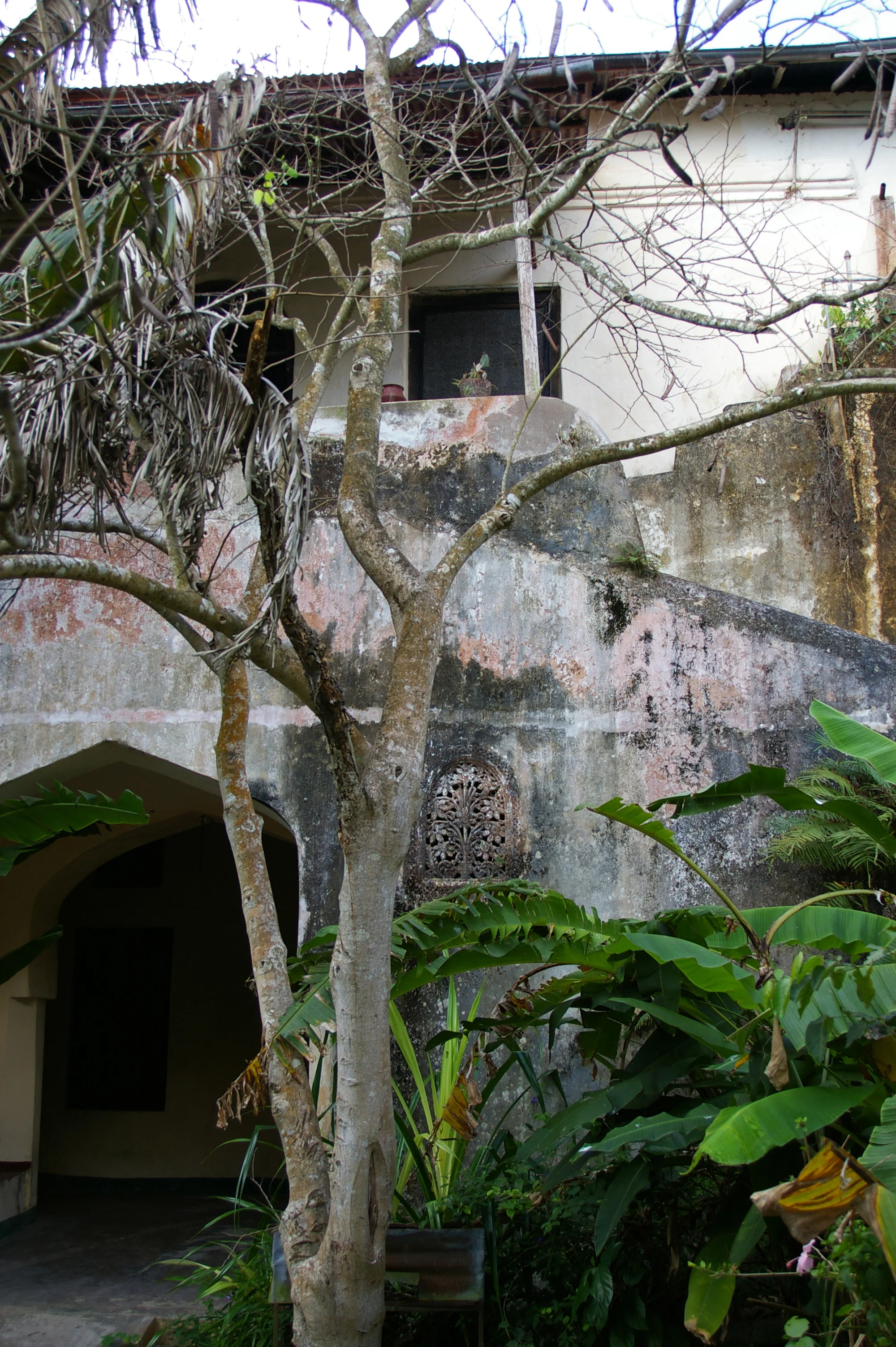 Salome's Garden.jpg