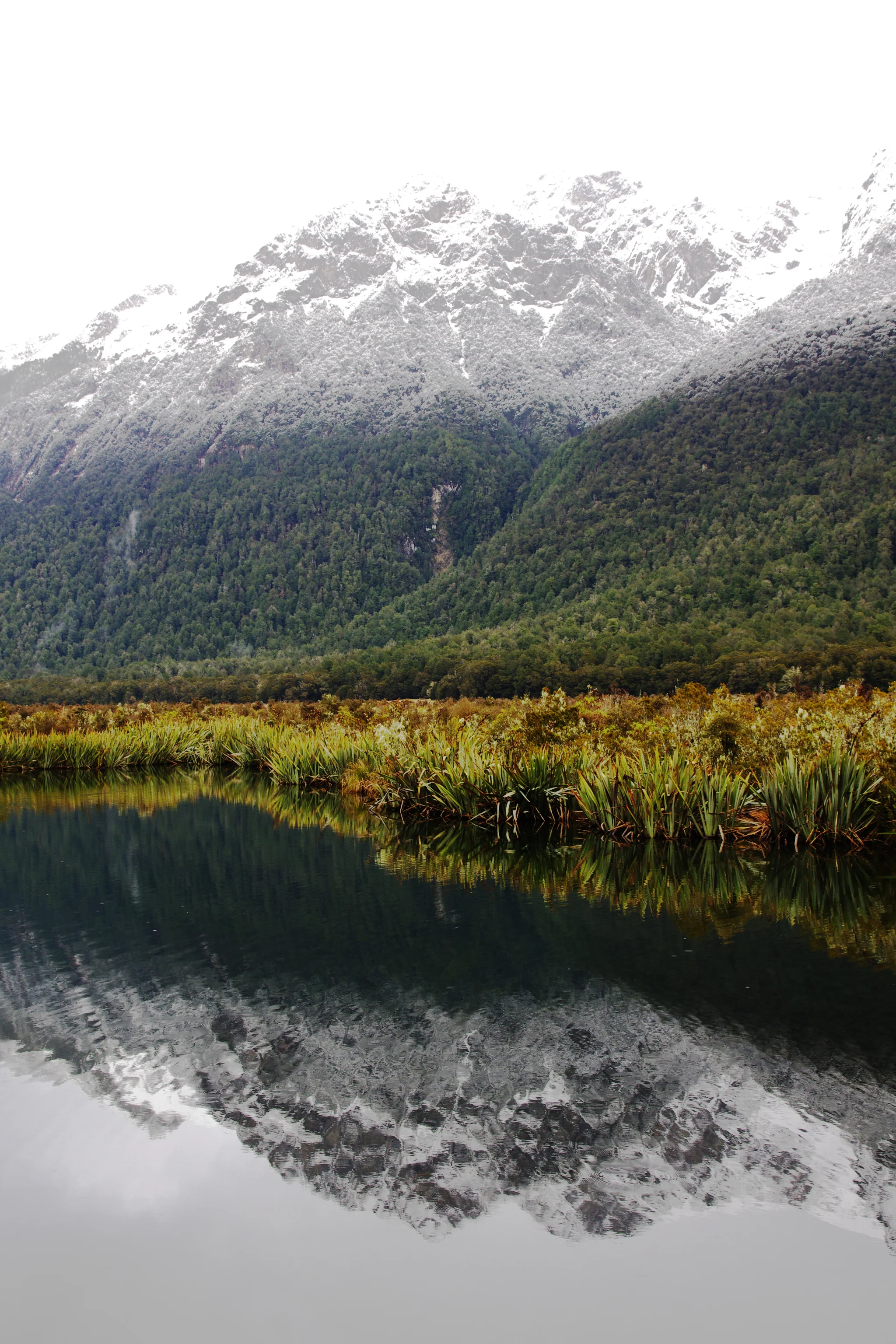 Eglington River Valley, New Zealand.jpg