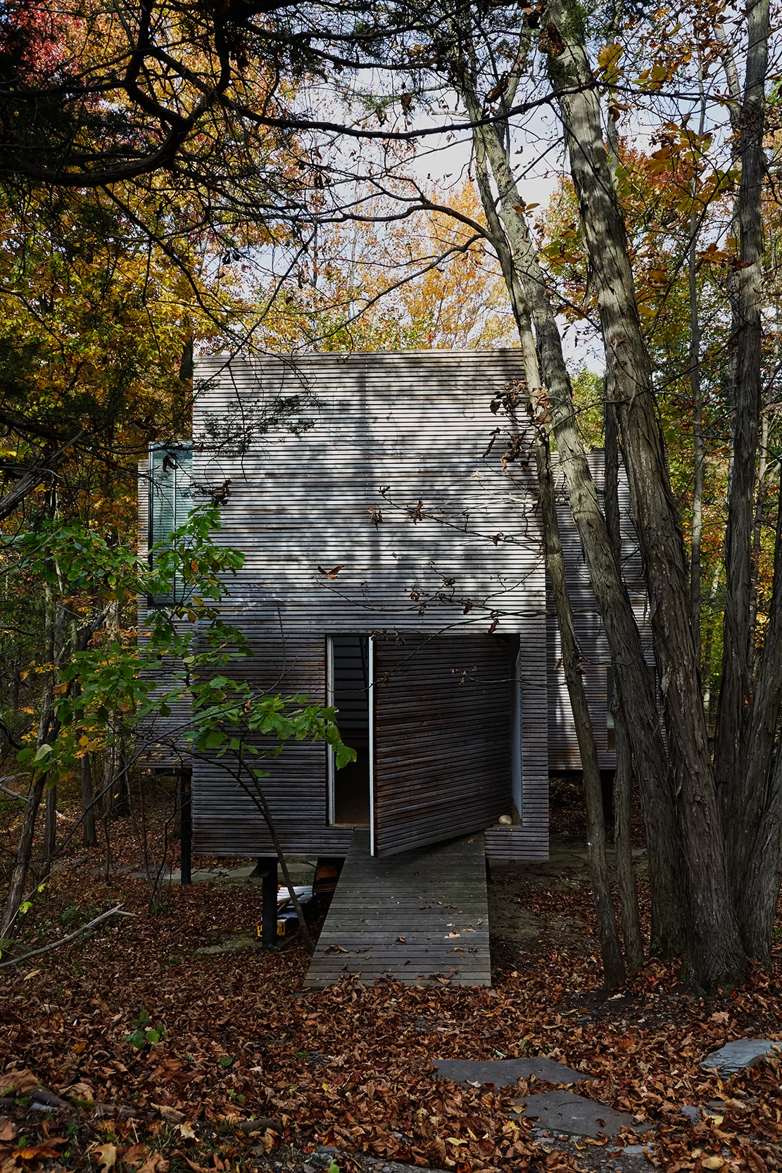 ‘T’ Space during the Fall.