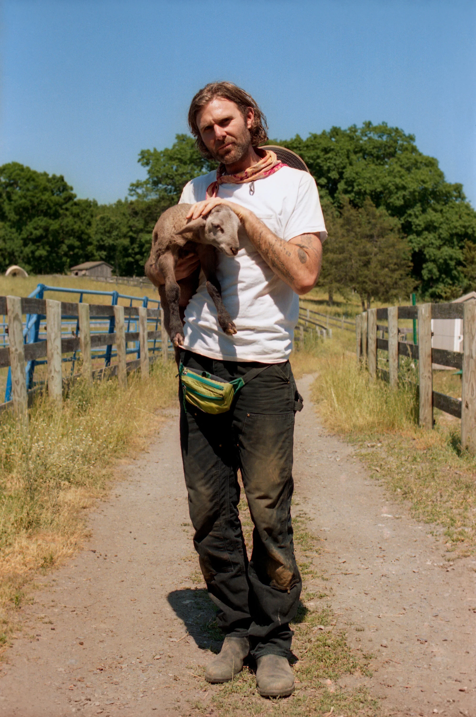 Artist Dan Colen address food scarcity on Sky High Farm in the