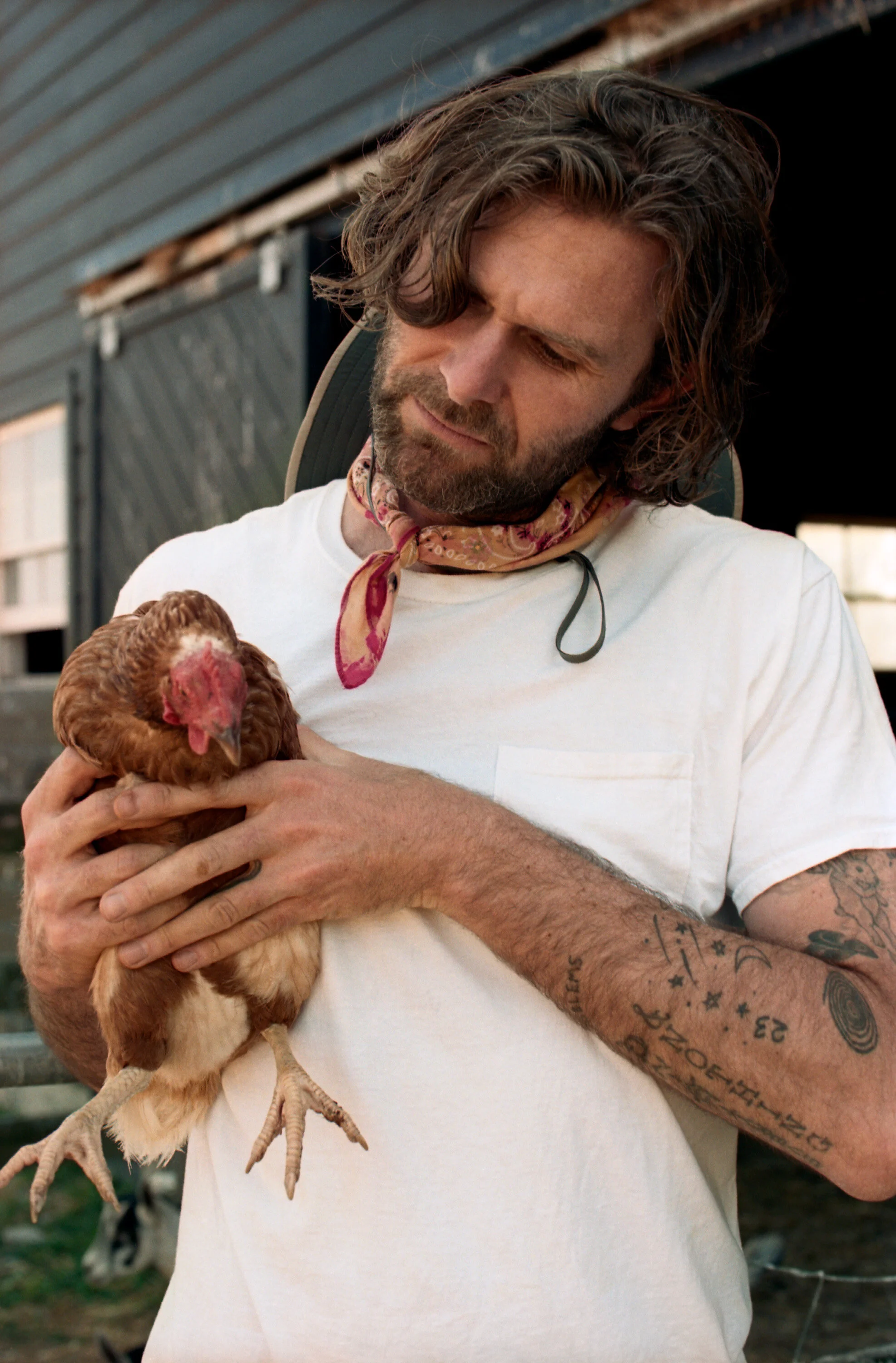 Artist Dan Colen address food scarcity on Sky High Farm in the